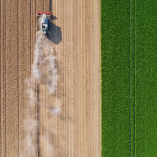 The Rabobank Traineeship Journey