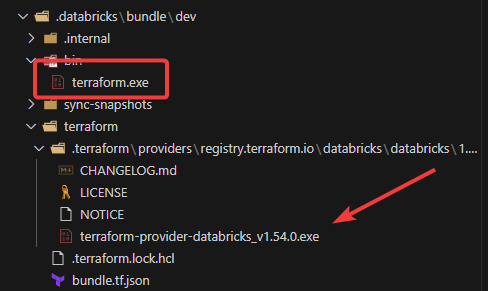 Figure 2: Terraform.exe and Databricks provider 