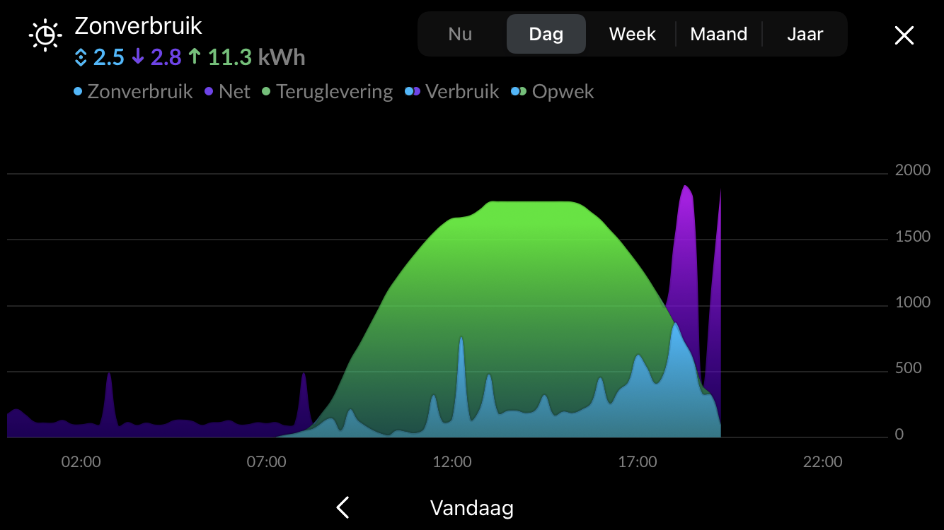 Diagram that shows the “power usage at home including the solar panels”