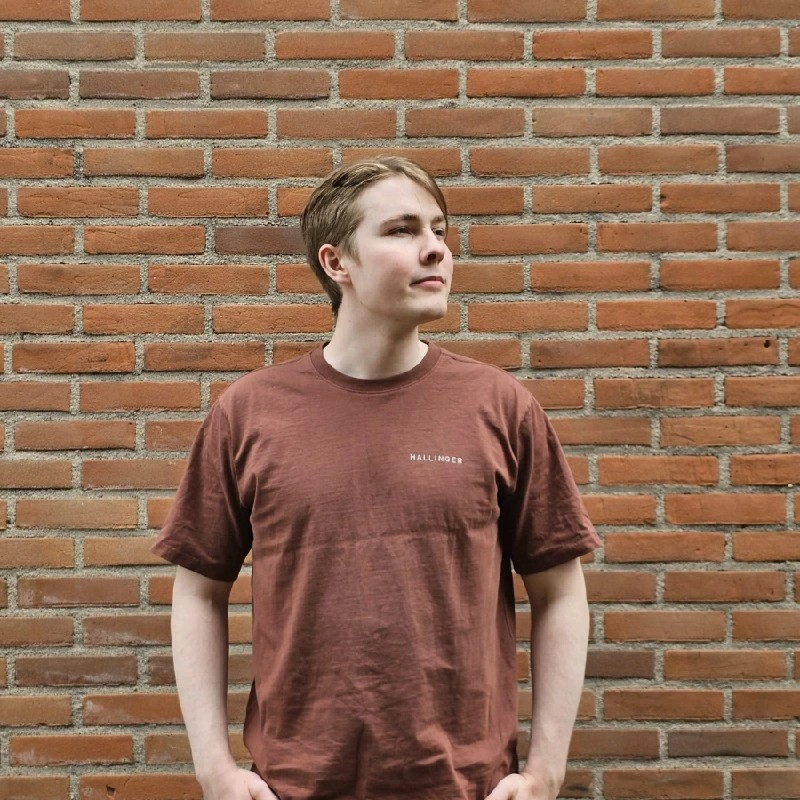 Automate Azure Databricks using API calls - Rabobank