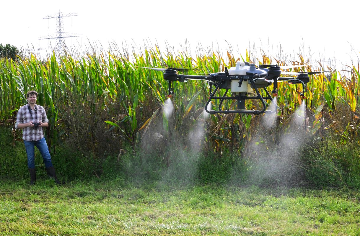 Dak met zonnepanelen