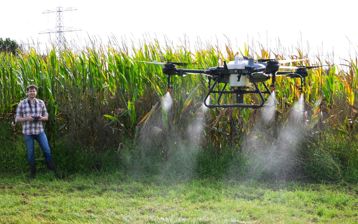 Dak met zonnepanelen