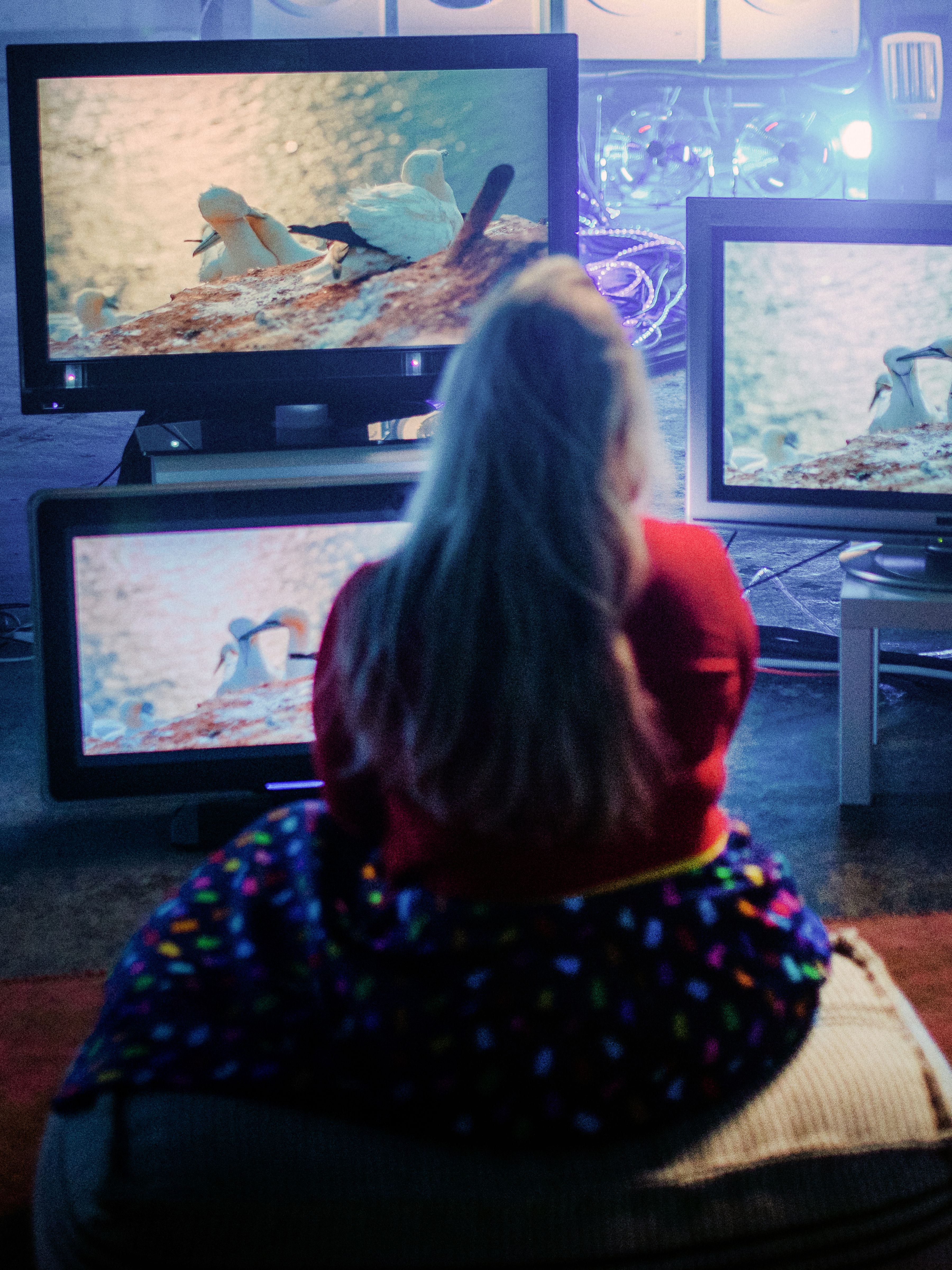 Woman in front of multiple large computer screens showing nature.