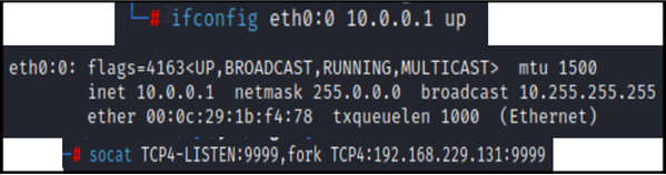 Figure 10. Setting up attackers host 192.168.229.128 with network alias 10.0.0.1.
