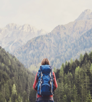 Talent​ Management​ at  Rabobank​