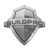 Build Pro Construction Inc. logo