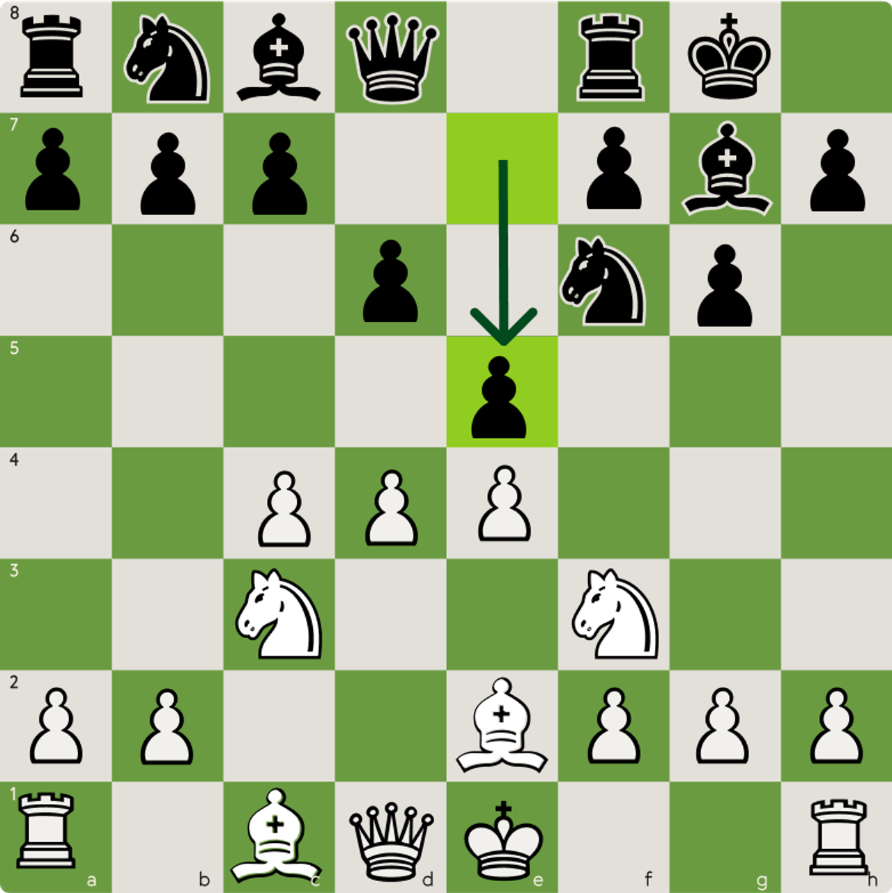 Standard King's Indian setup with Black fianchettoing the kingside bishop
