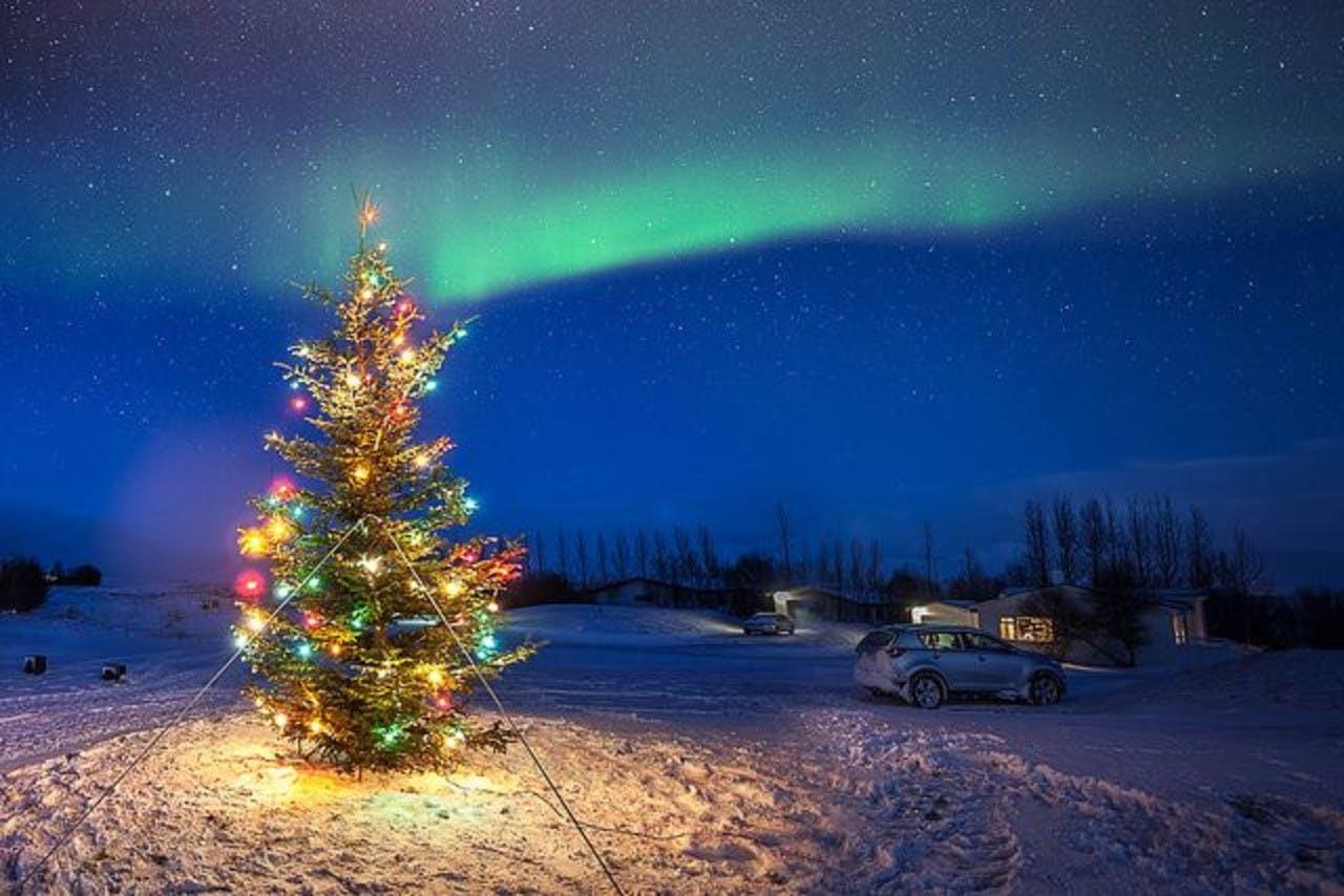 Lit Christmas tree standing outside of small houses with northern lights in the sky