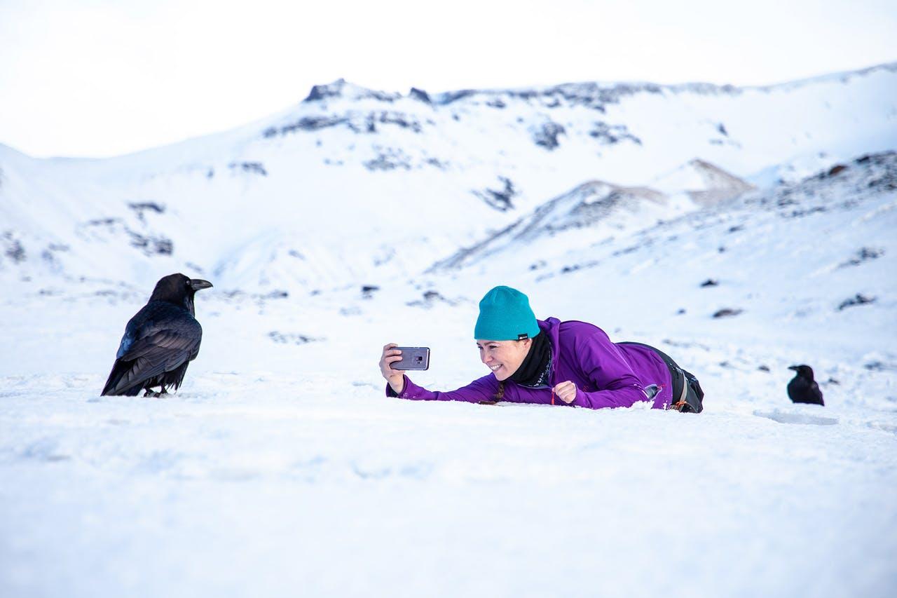 A woman in a purple jacket and with a blue hat lying on a snowy surface taking a photo on her cell phone of a raven standing in front of her. A second raven is in the background to the right and snow clad mountains in the back.