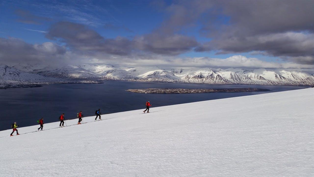 Skiers on Tröllaskagi with Eyjafjörður and Hrísey island in the background