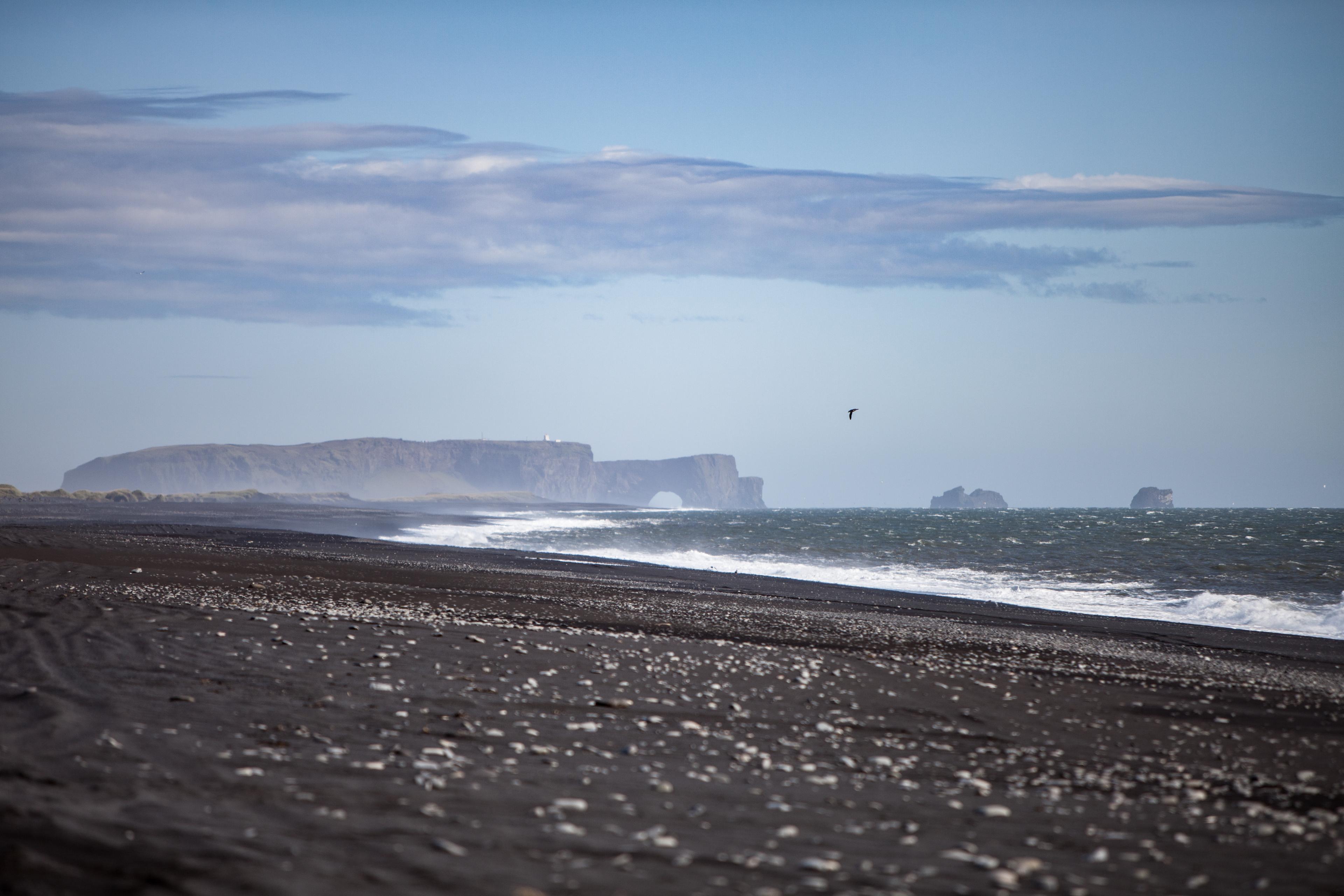 The black sand beach with a great view over Dyrhólaey cliffs in the distance