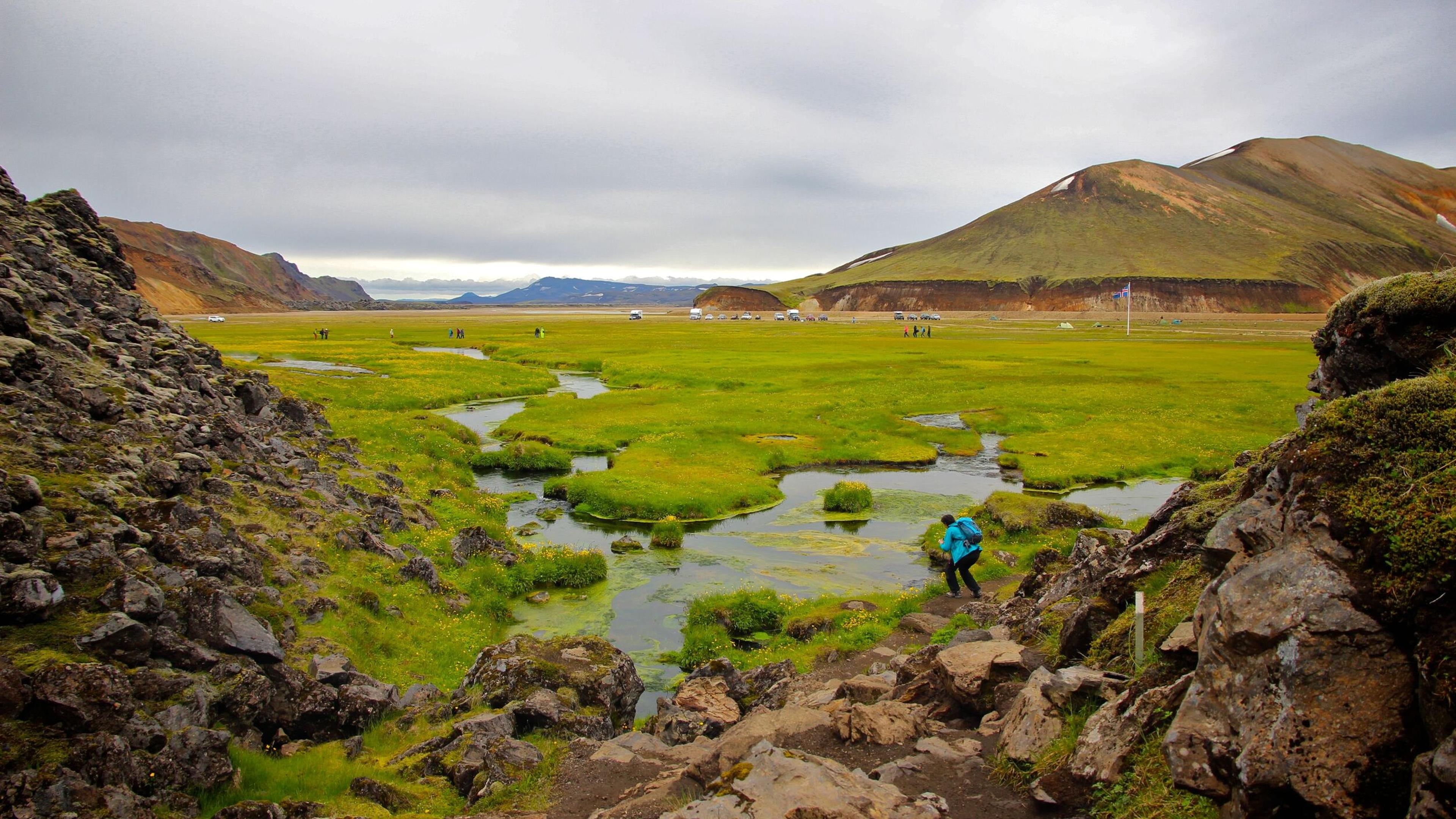 Moss-covered wetland with mountains in the background