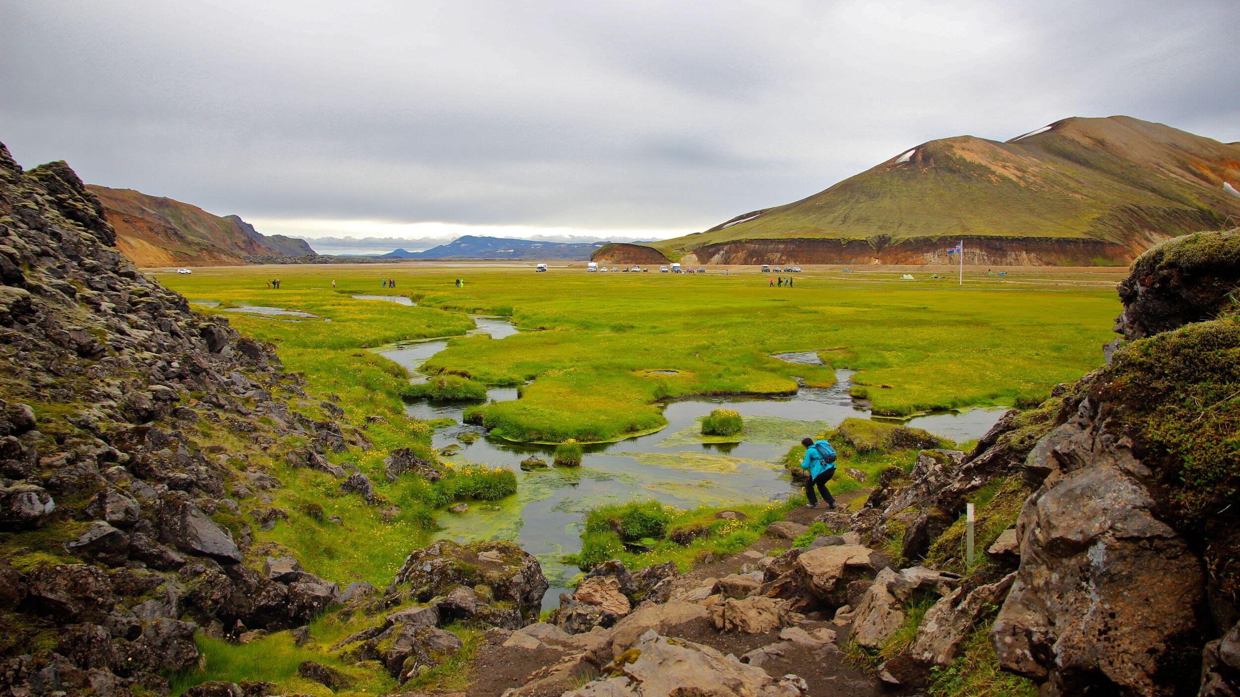 Moss-covered wetland with mountains in the background