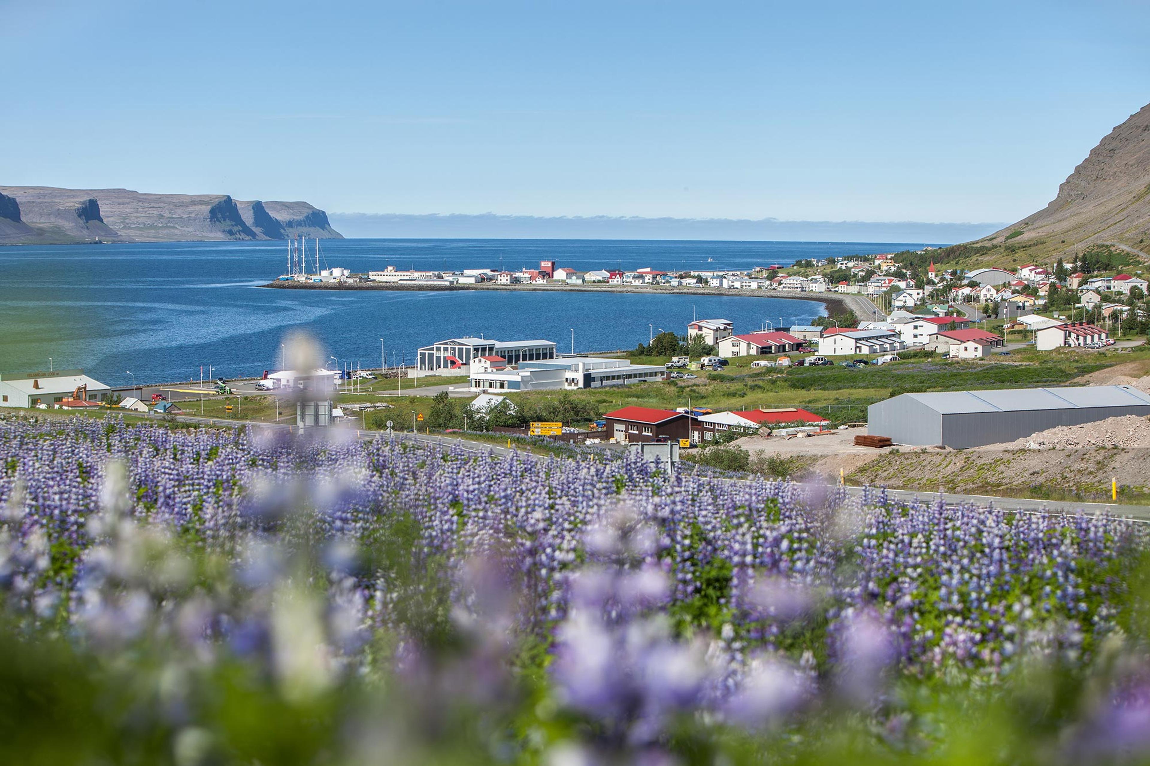 Village of Patreksfjörður on the west fjords of Iceland