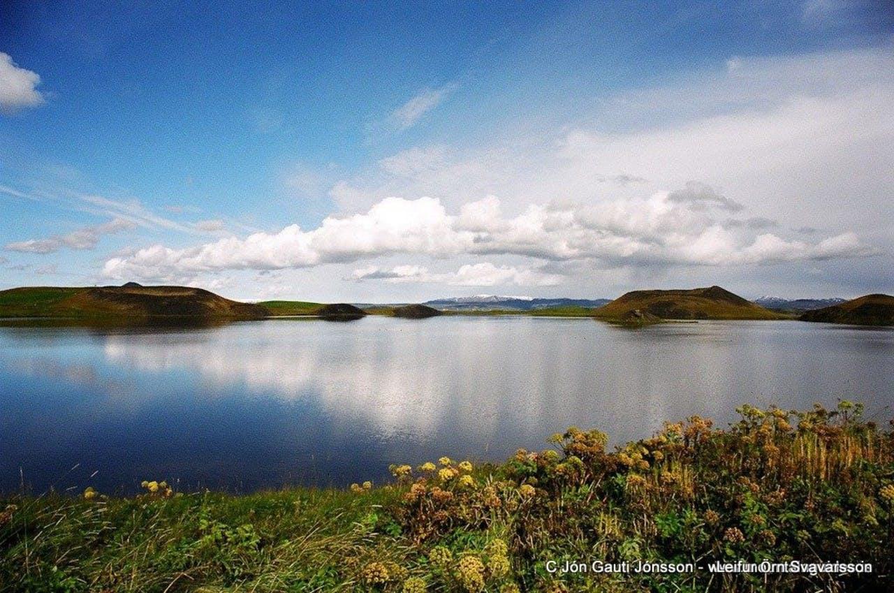 Mývatn on a summer day