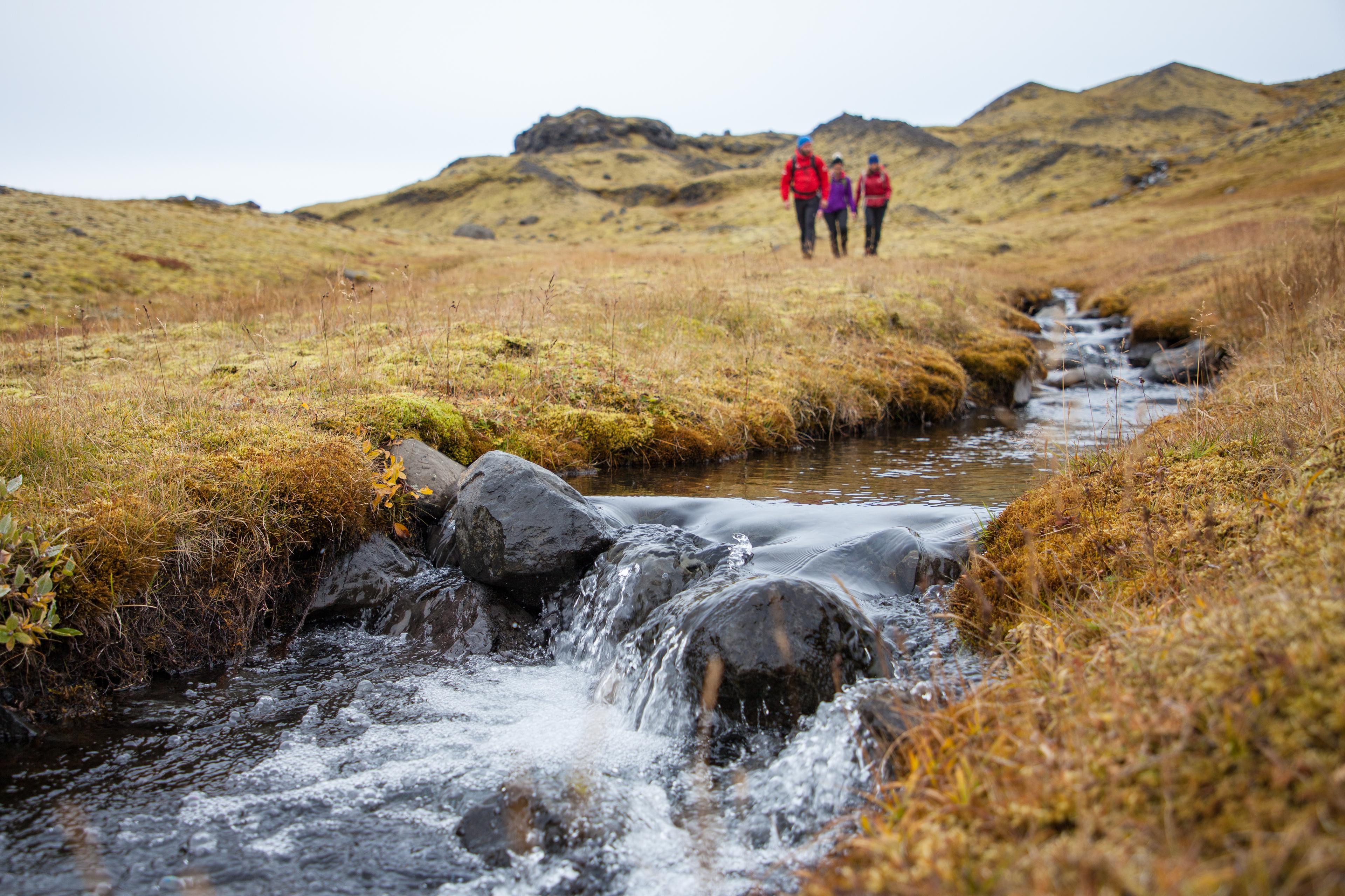 Hikers walking a long a fresh water stream