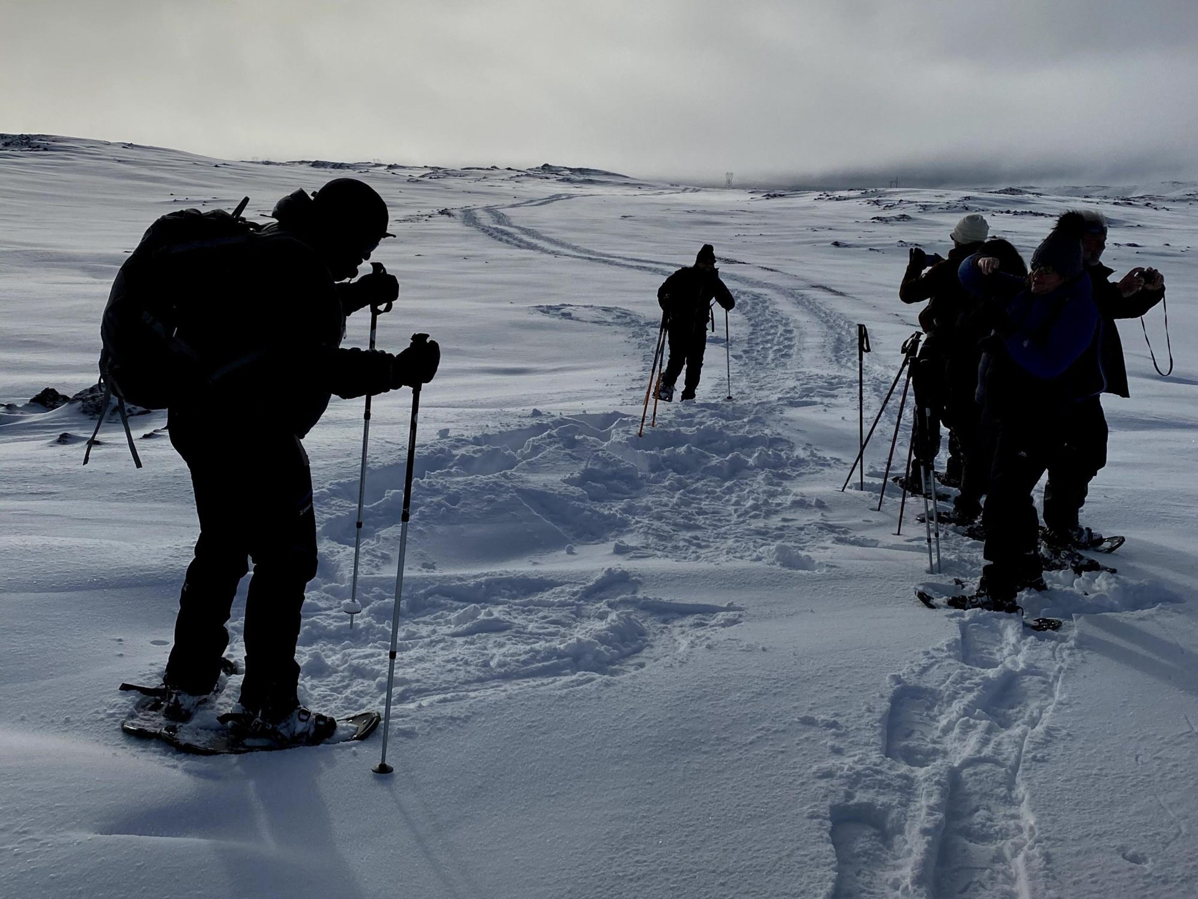 A group of people snowshoeing near Nesjavellir