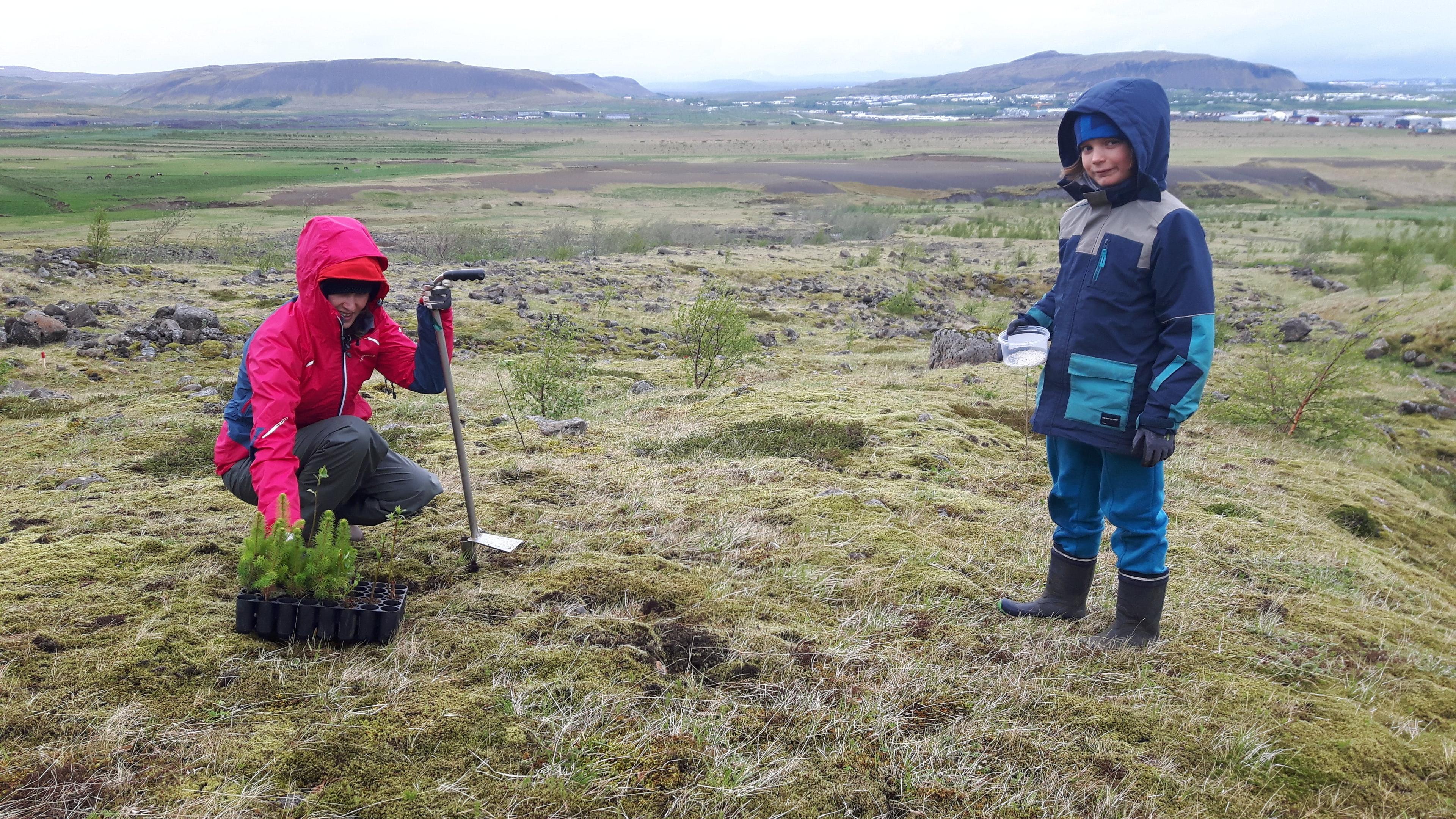 A woman in a red jacket kneeling down to plant a tree and a young boy in a blue jacket standing next to her