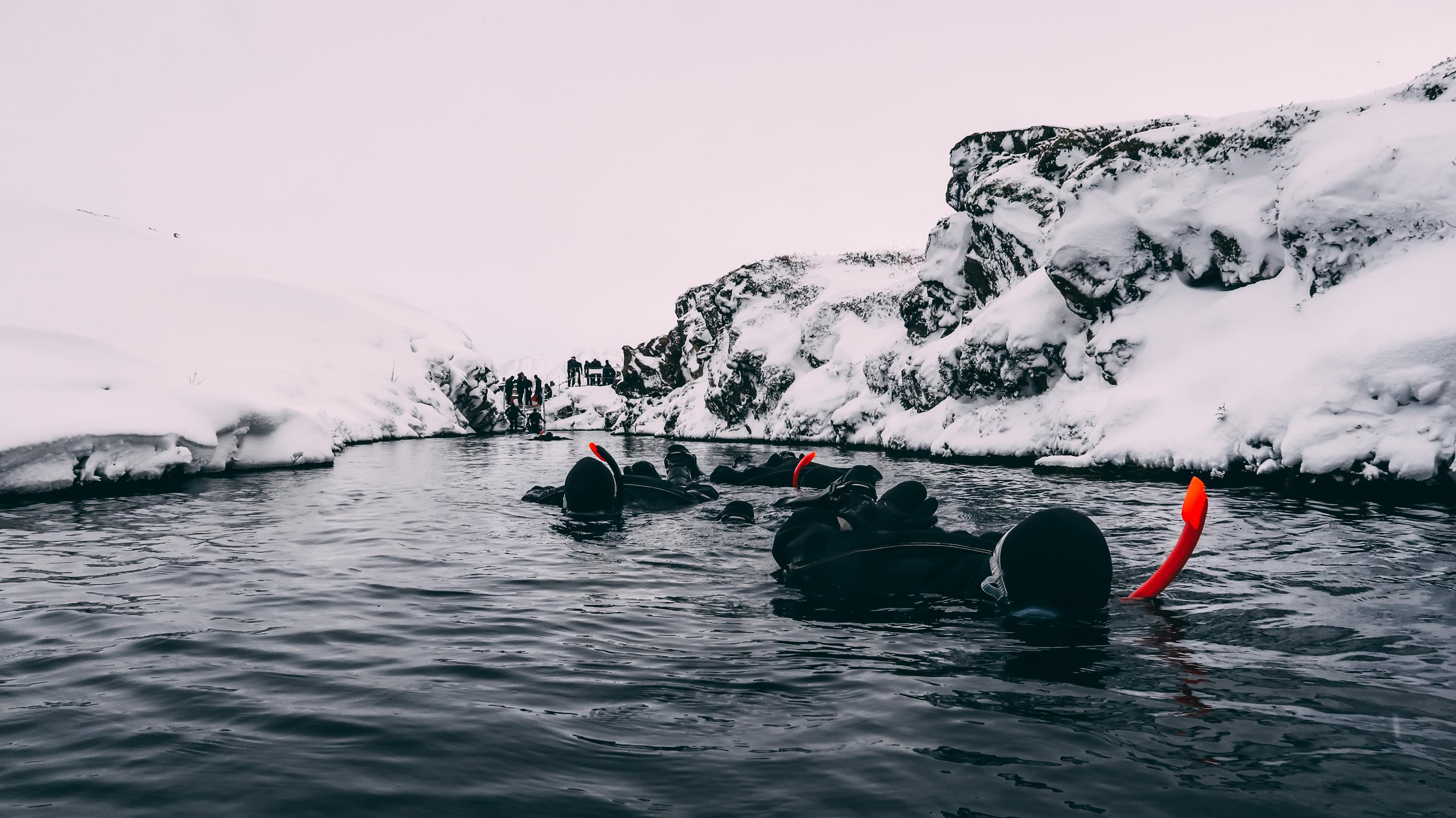 Two people snorkeling in Silfra fissure during winter.