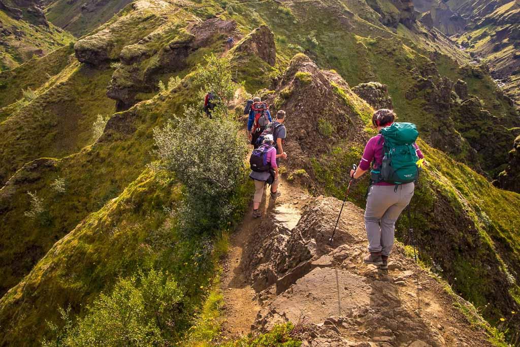 Hikers ascending a steep, green mountain trail, showcasing the rugged terrain of Iceland.