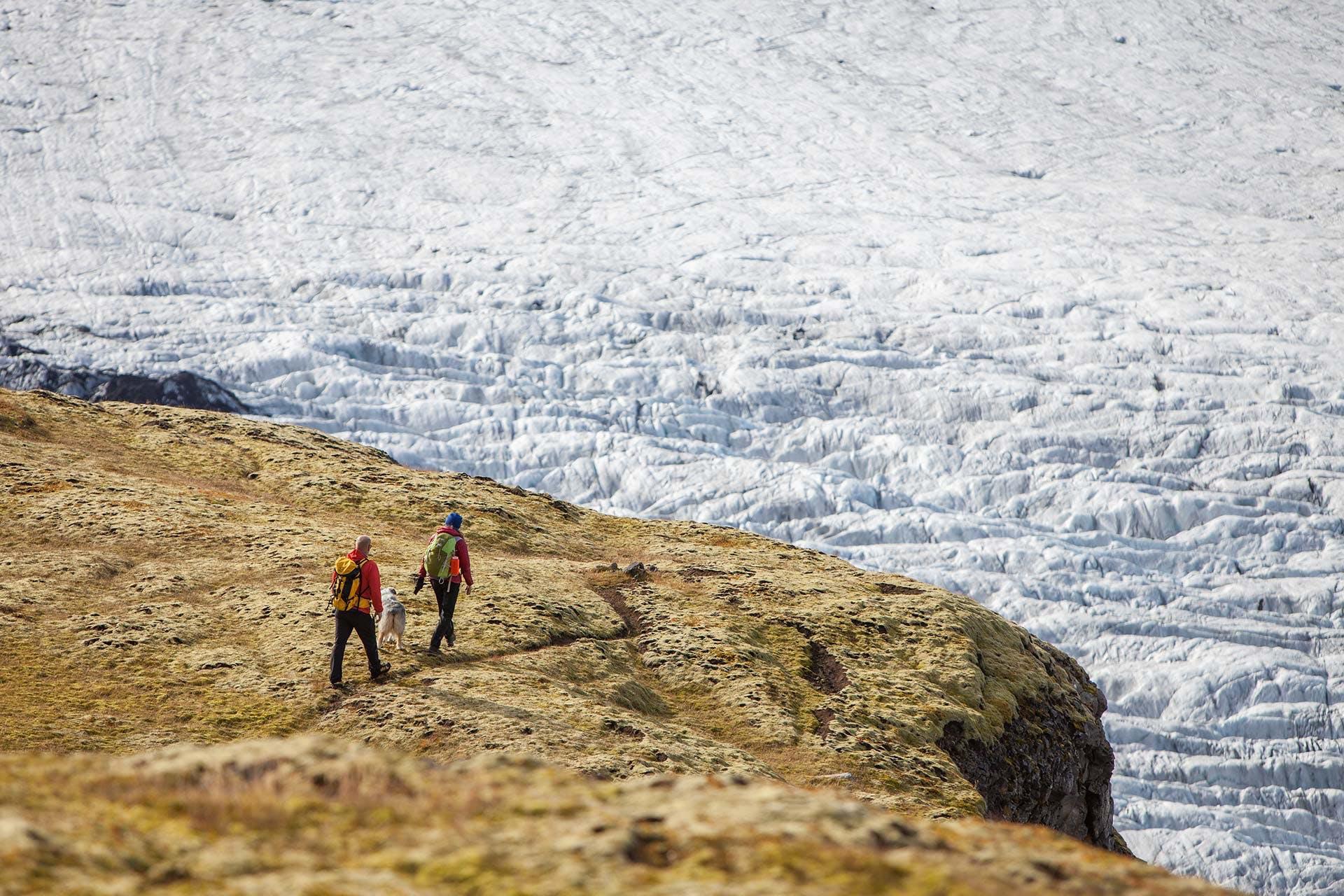 People on a hiking trail with views over a glacier