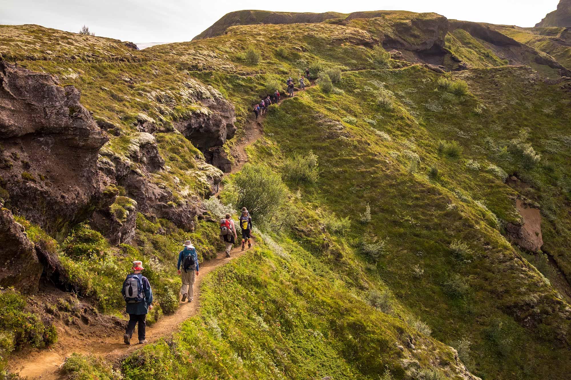 A group of people with a guide walking on a lush walk path on Fimmvörðuháls