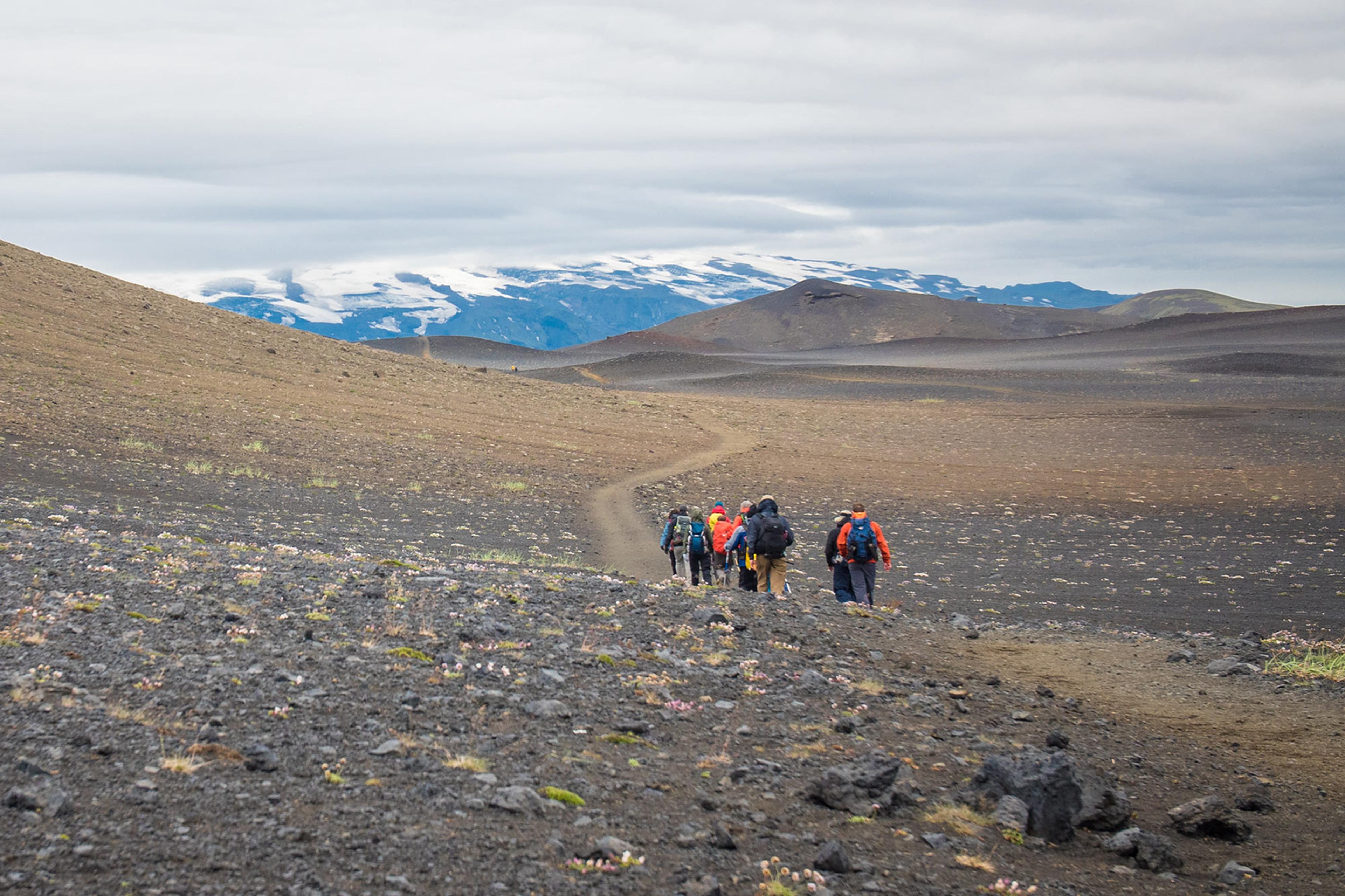 People walking the Laugavegur trail in Iceland with a gray earth and blue mountains before them