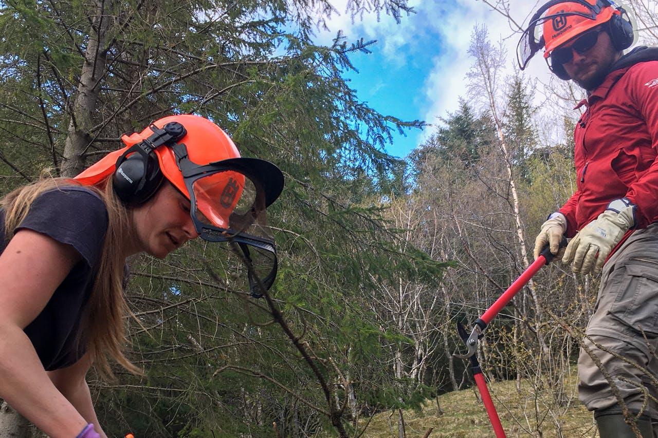 Getting the pruners ready