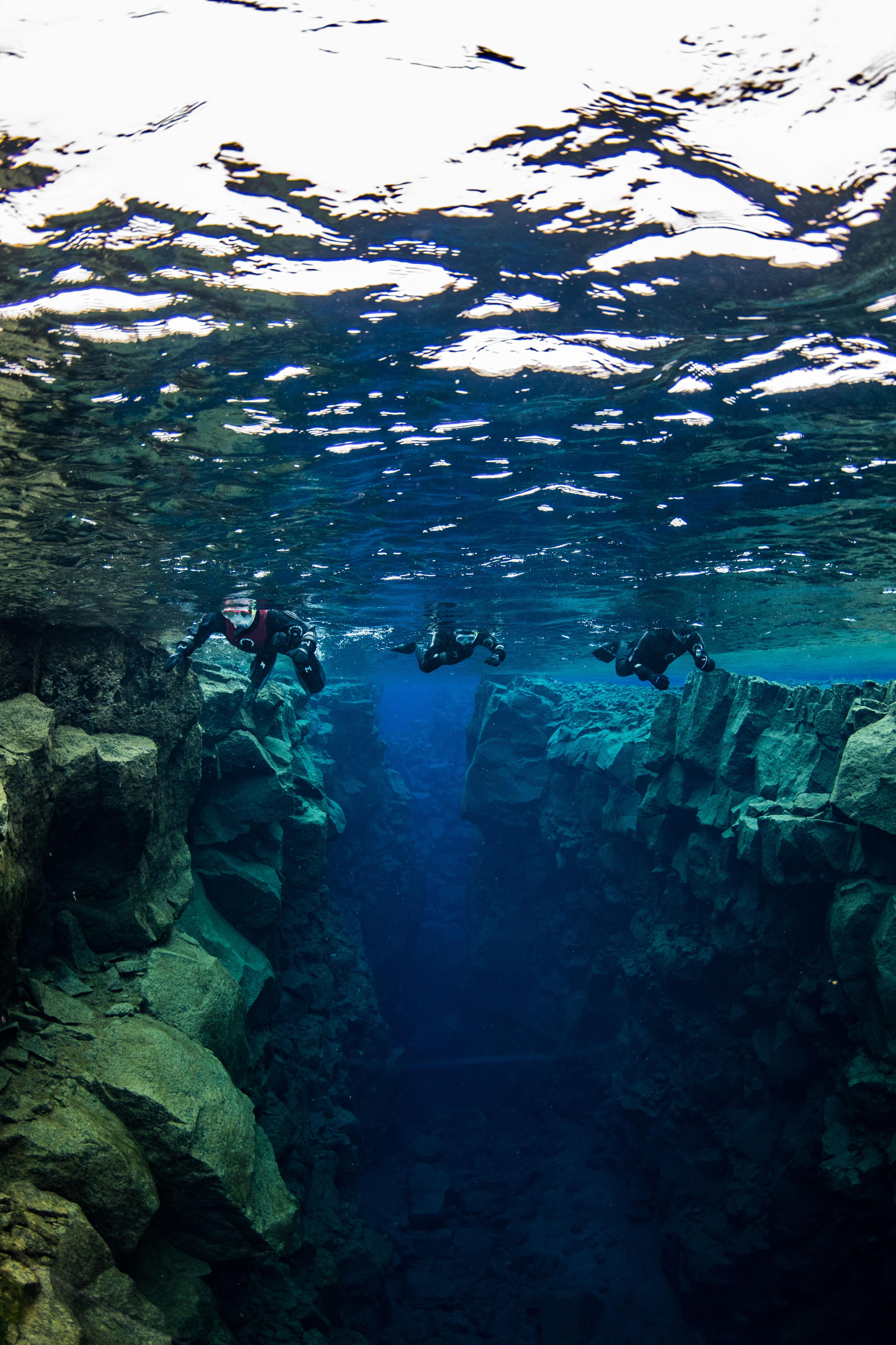 Three people in dry suits snorkeling in Silfra fissure