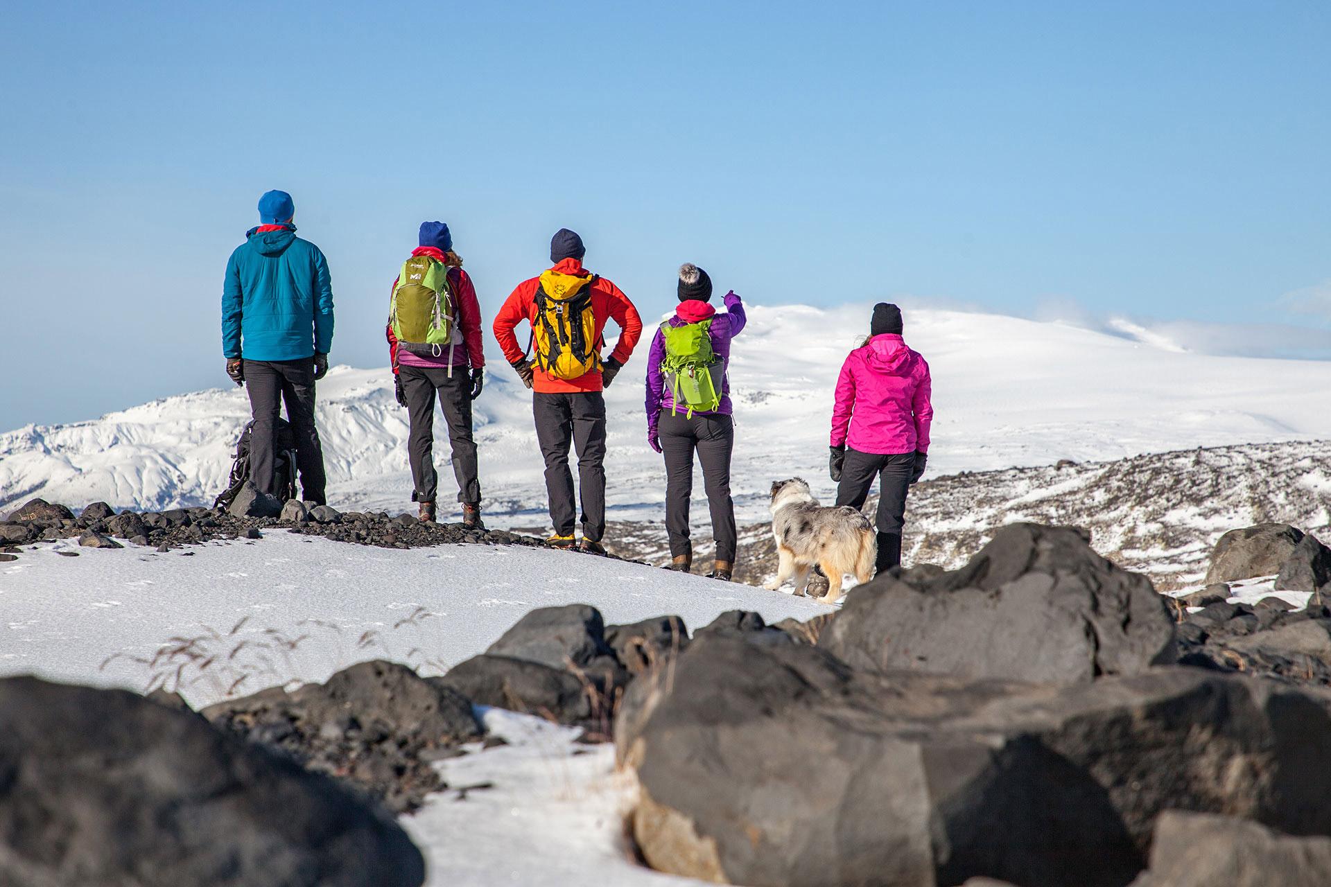 Hikers looking towards Eyjafjallajökull glacier