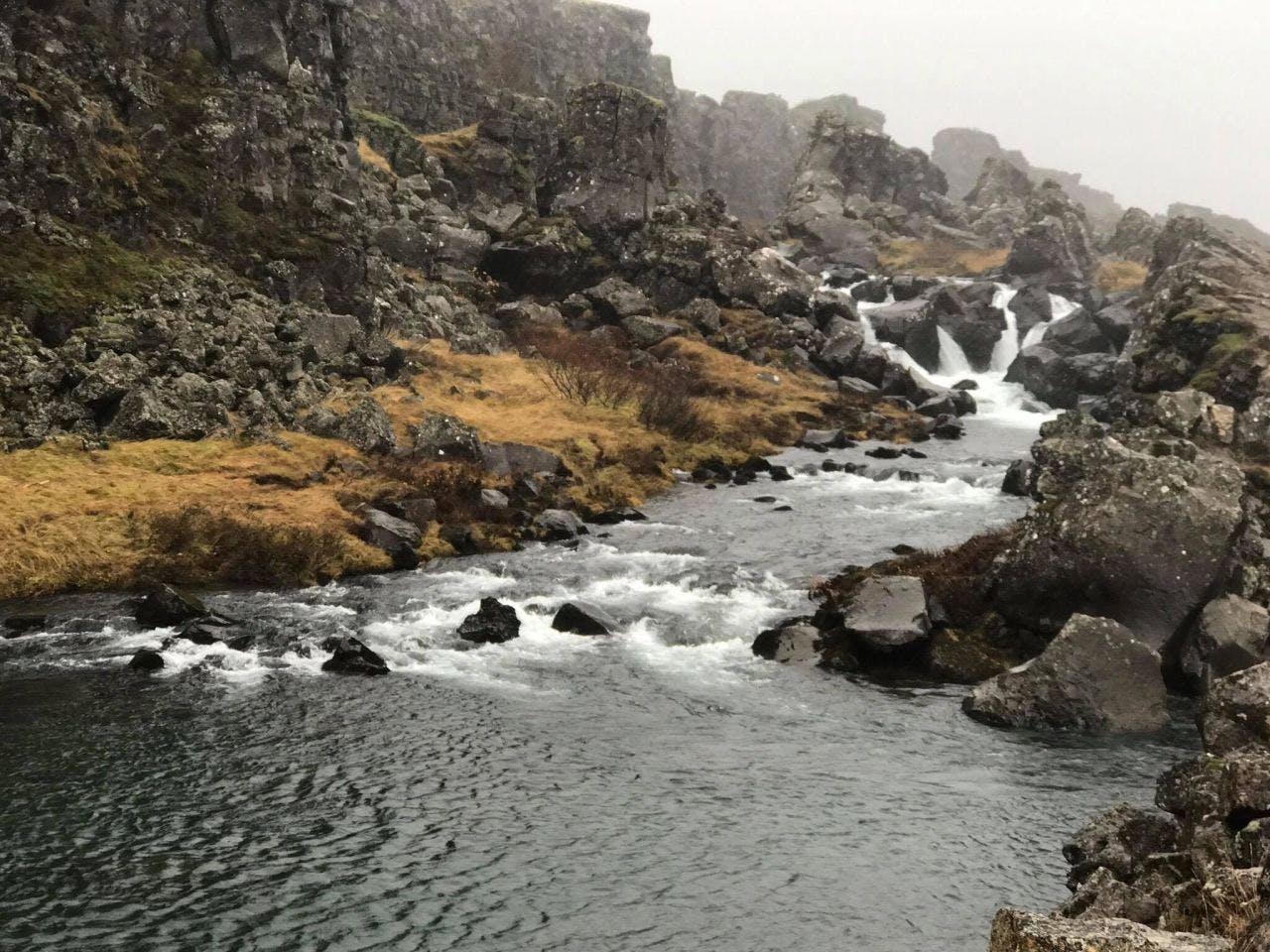 Icelandic nature in the fog