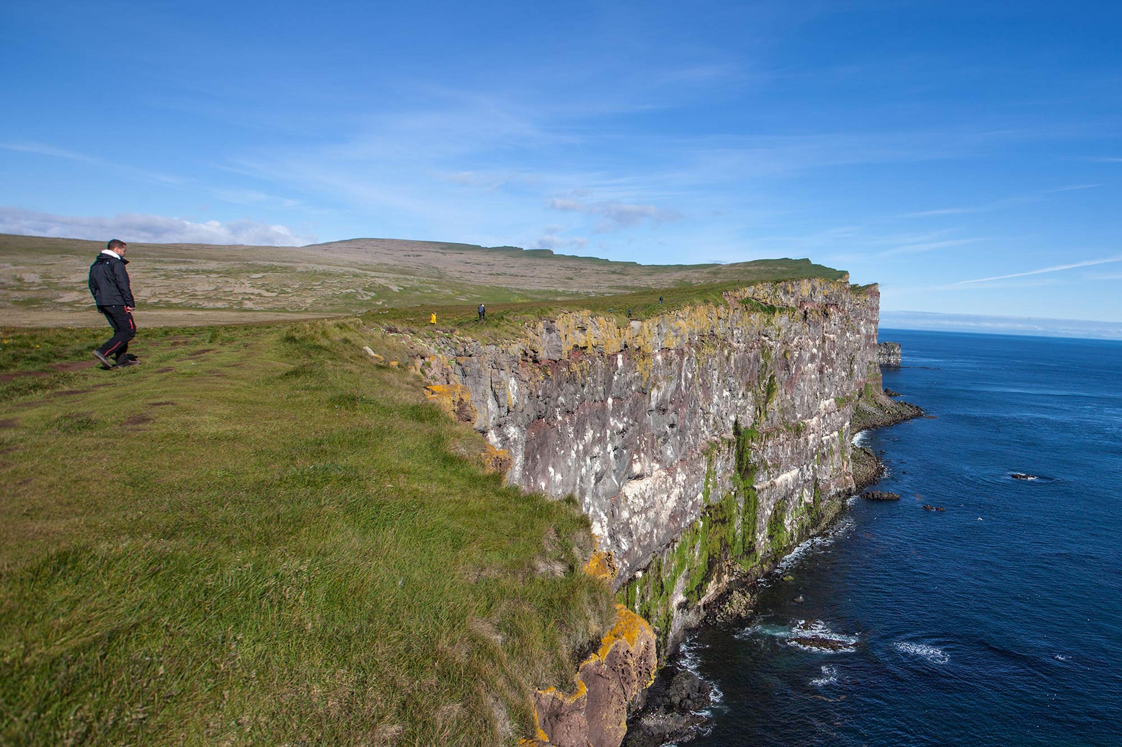 Látrabjarg bird cliffs on the west fjords of Iceland