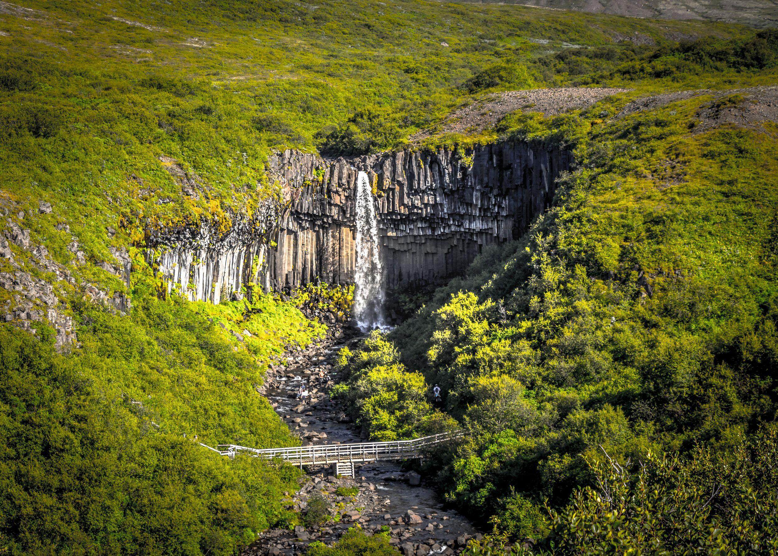 Svartifoss waterfall cascading over dark basalt columns, surrounded by lush green vegetation in Skaftafell, Iceland.