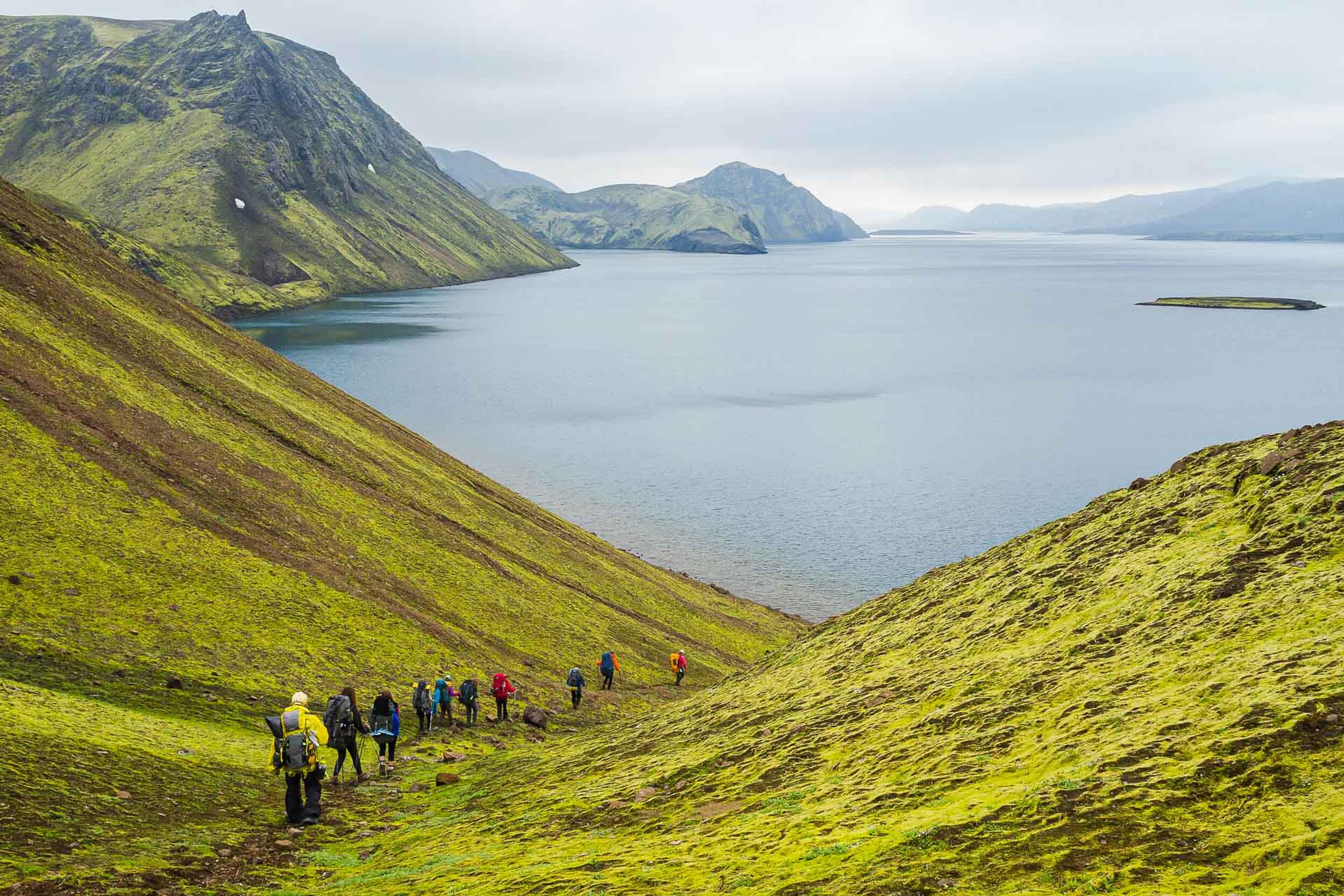 Group of hikers walking along a narrow trail on a green hillside with scenic coastal views in Iceland.