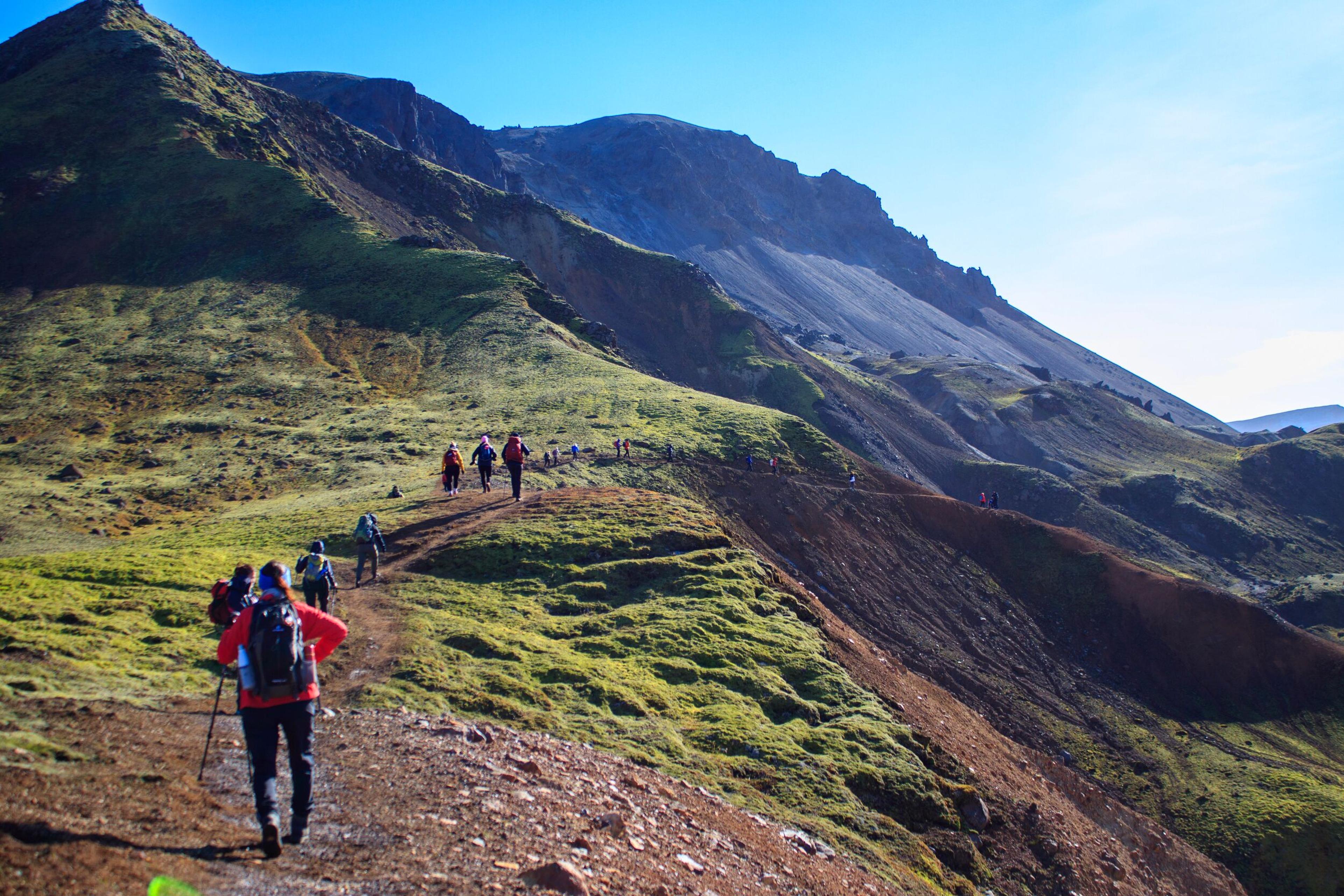 Group of people hiking in a green mountain