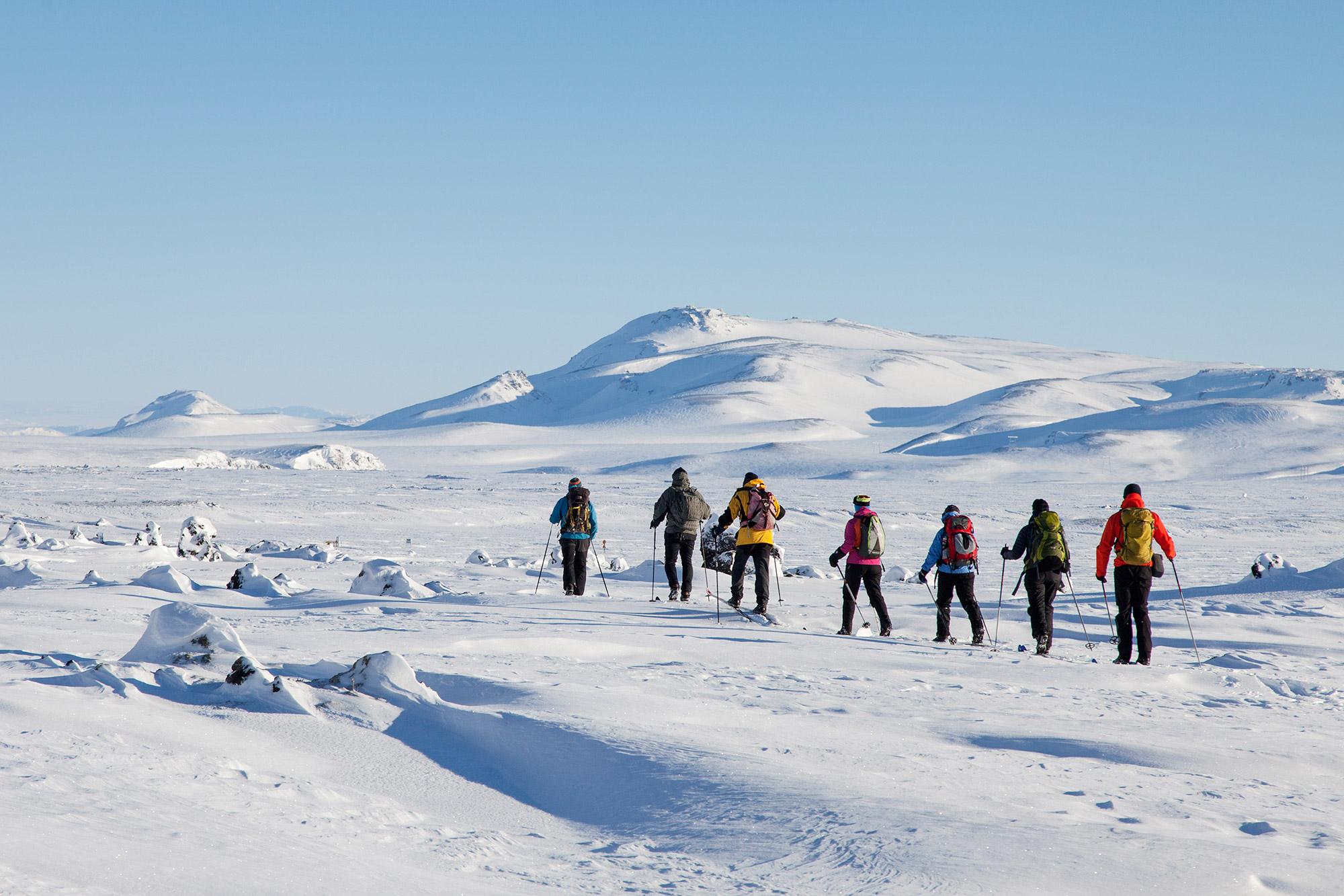 A group of people cross-country skiing in snow covered land in Iceland