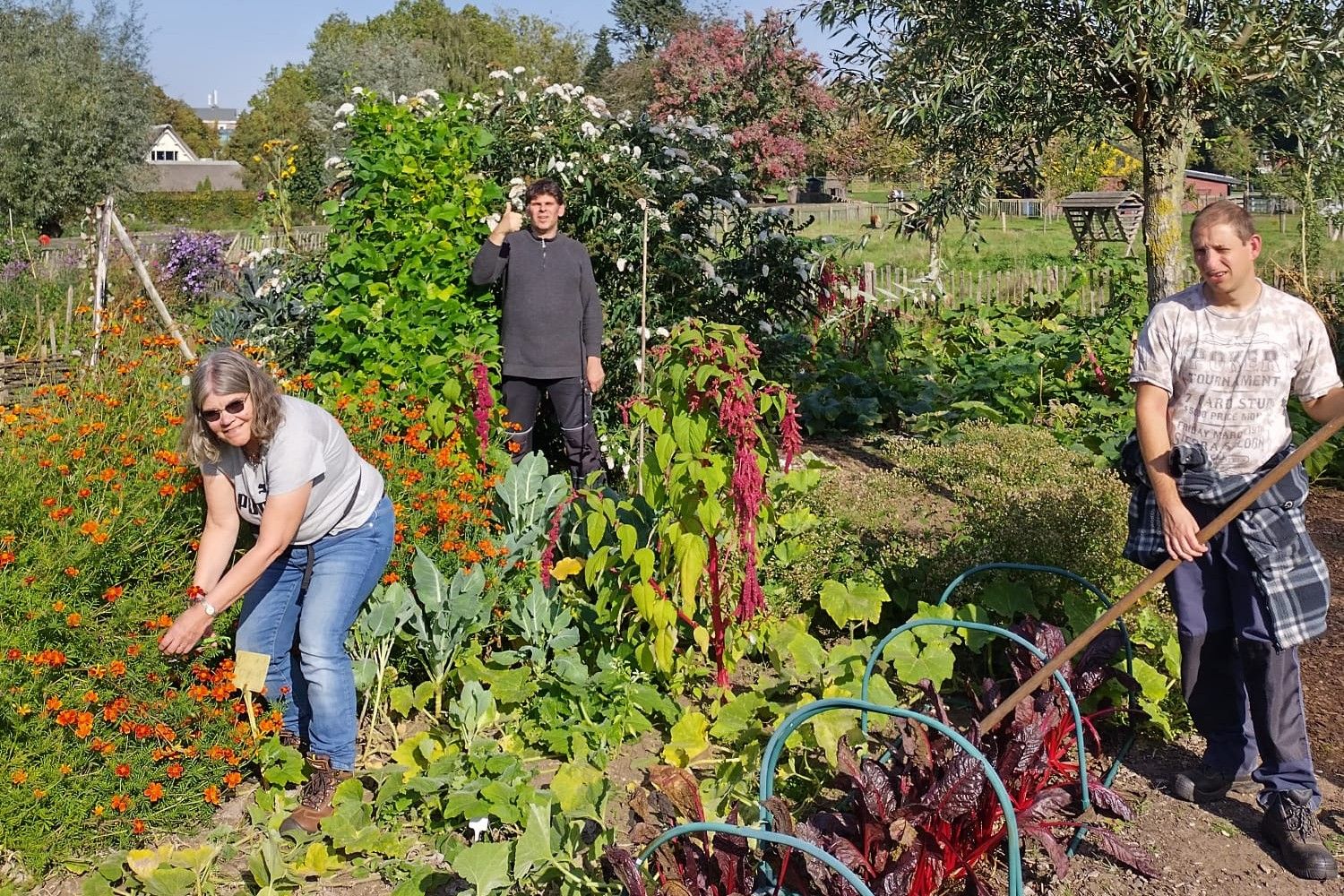 LWD_Boerderij Goffert_BDNX6053[1]3.JPG