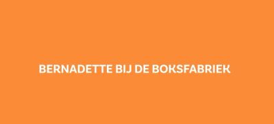 boksfabriek.JPG