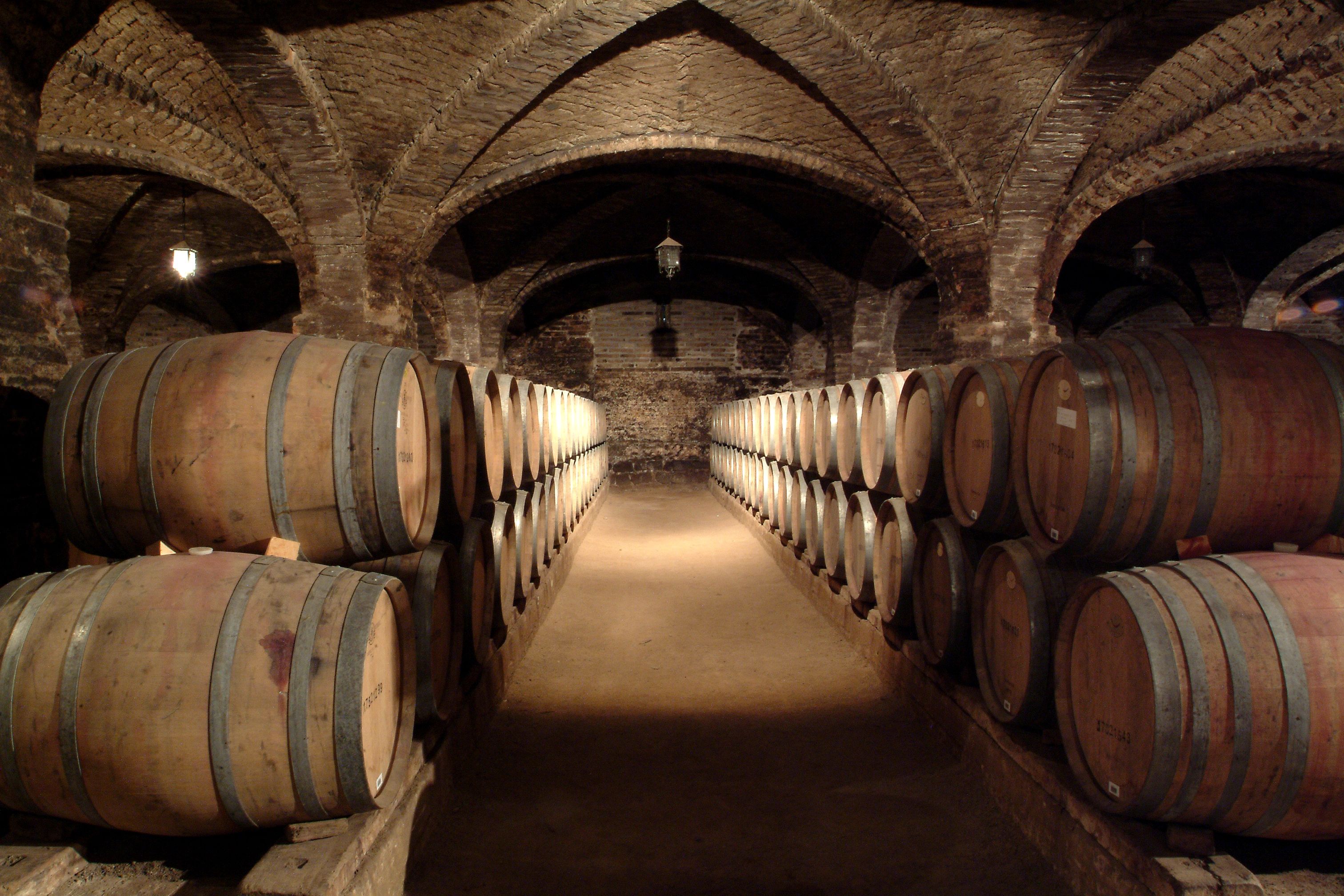 Delve into the cal y canto cellars