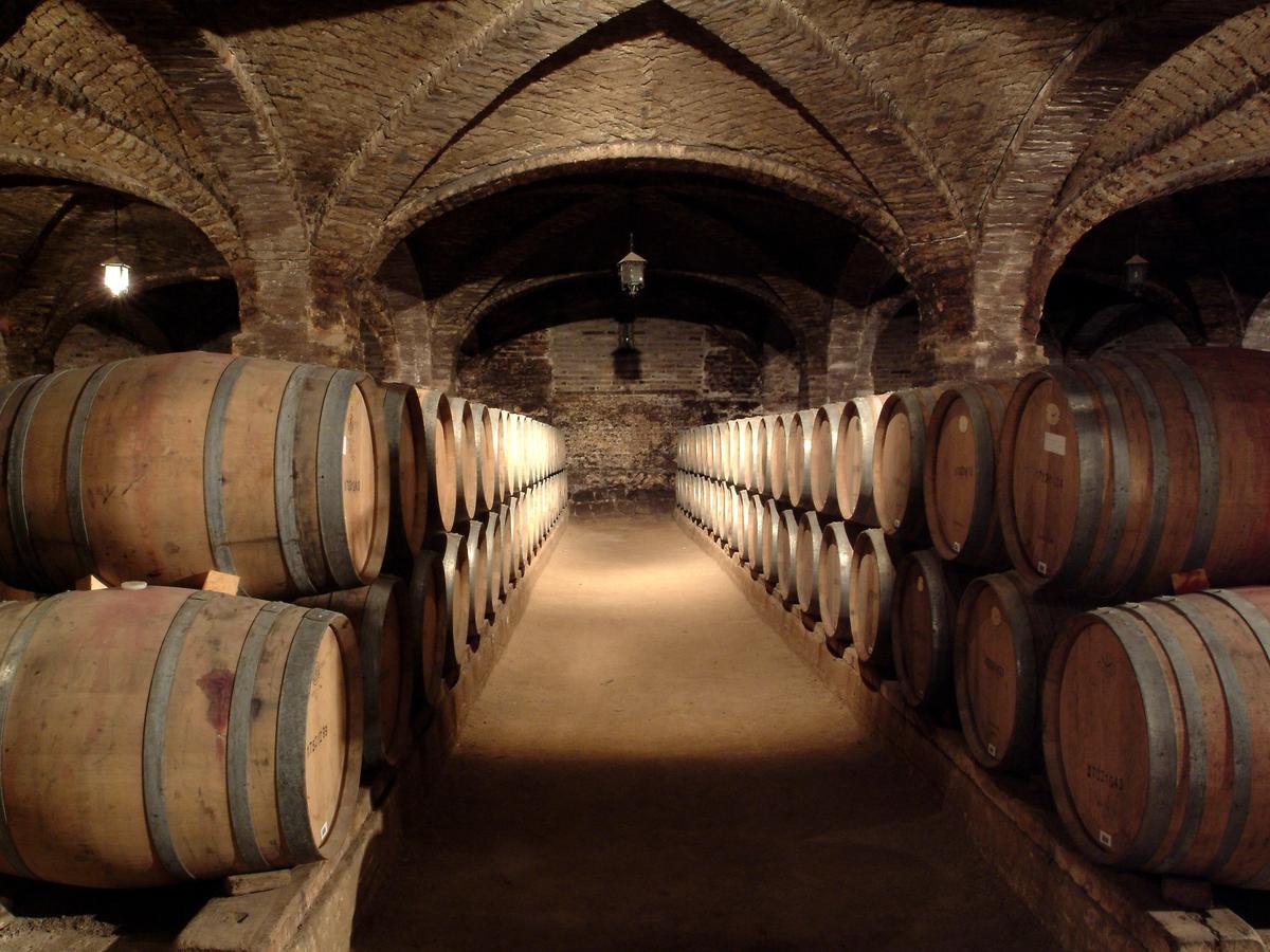 Delve into the cal y canto cellars