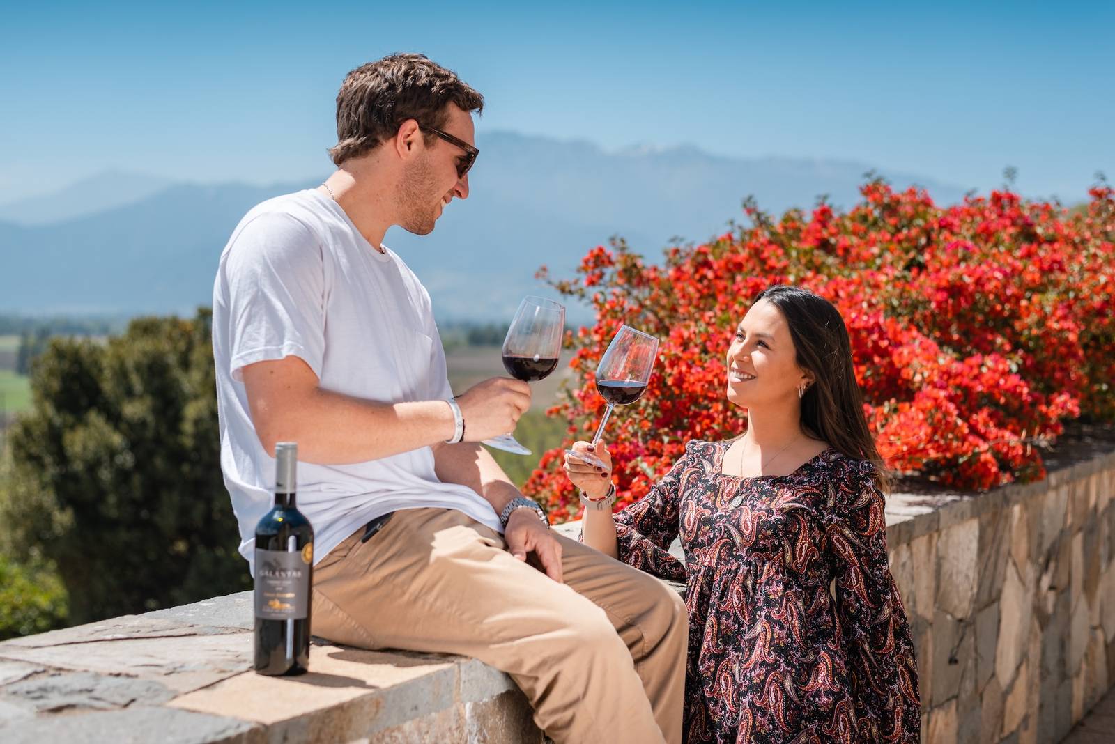 Tour Ícono Viña Haras de Pirque Privado