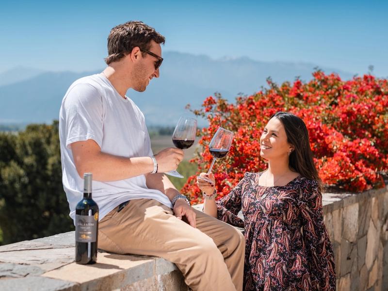 Haras de Pirque Private Vineyard Tour & Wine Tastings