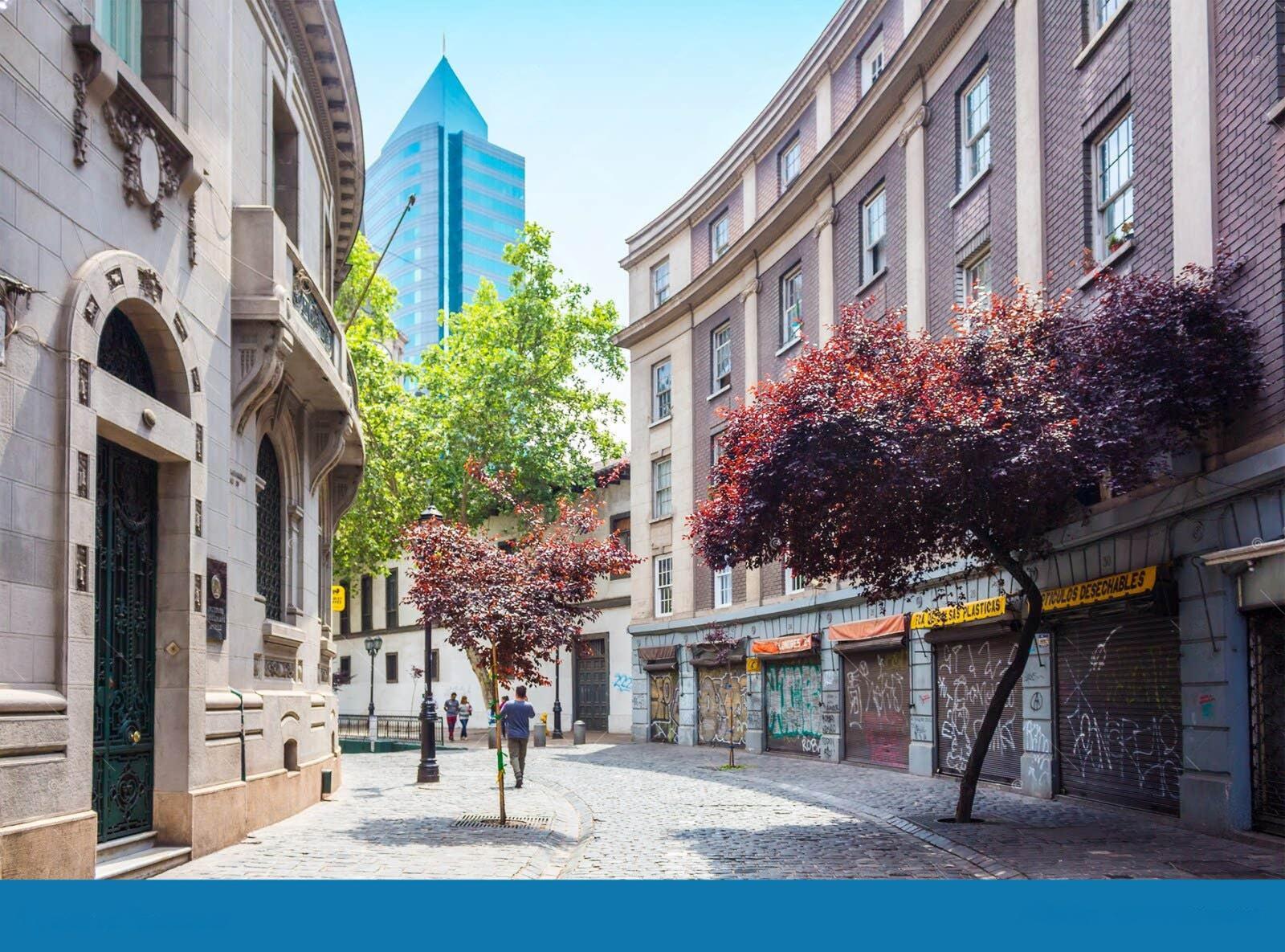 A quiet colonial street lined with colorful buildings and a blossoming pink tree