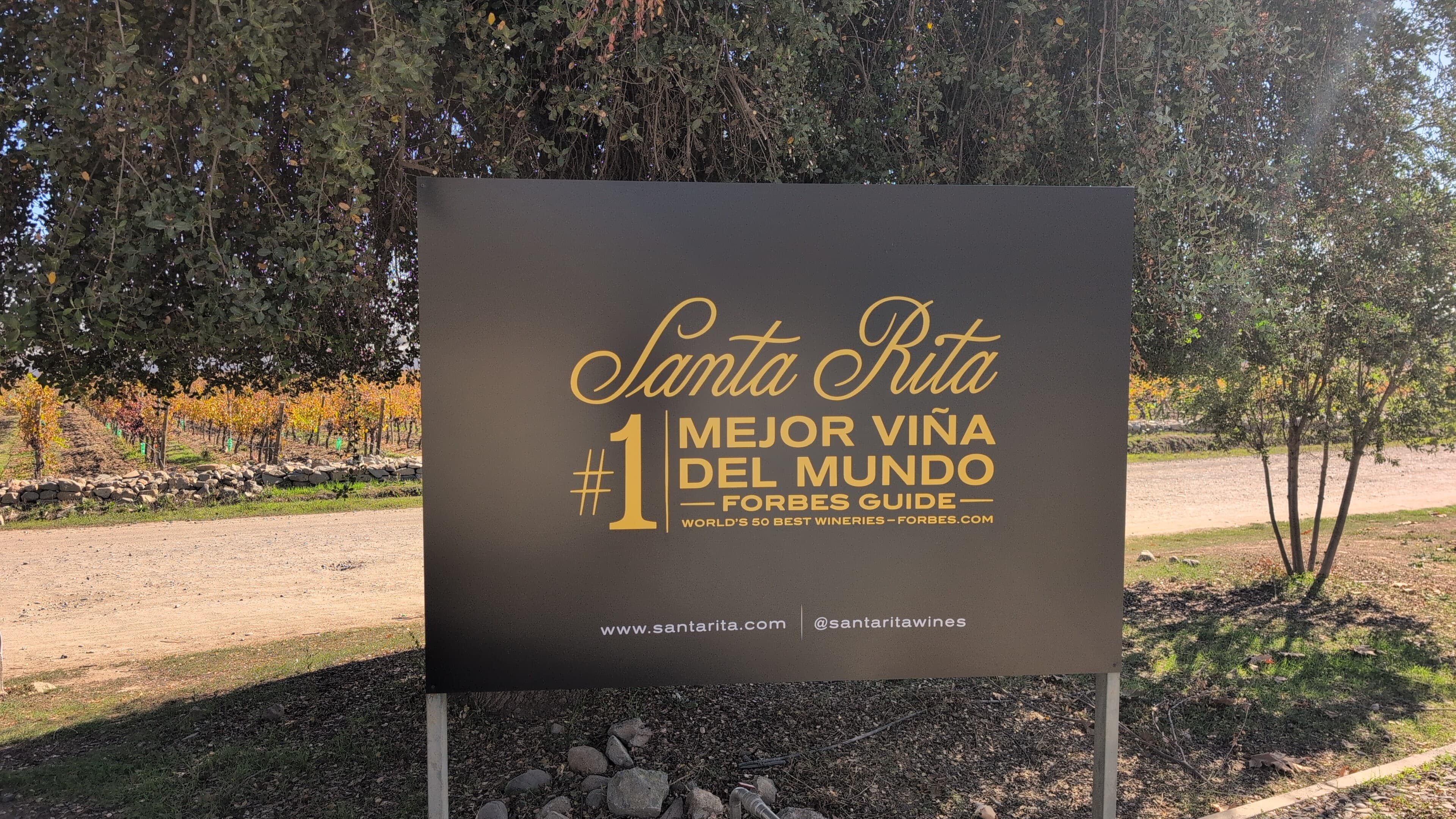 Journey south into the Maipo Valley