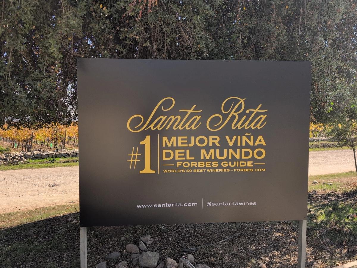 Journey south into the Maipo Valley