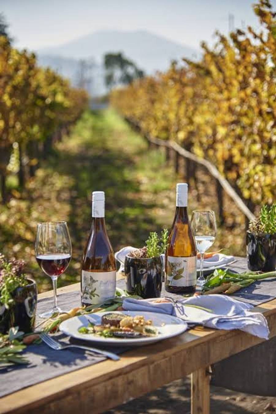 Wine Valleys