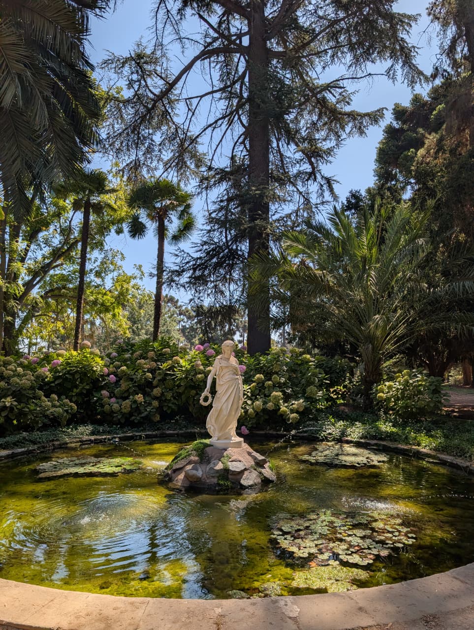 A stone fountain with a statue, surrounded by a lily pond and tall trees
