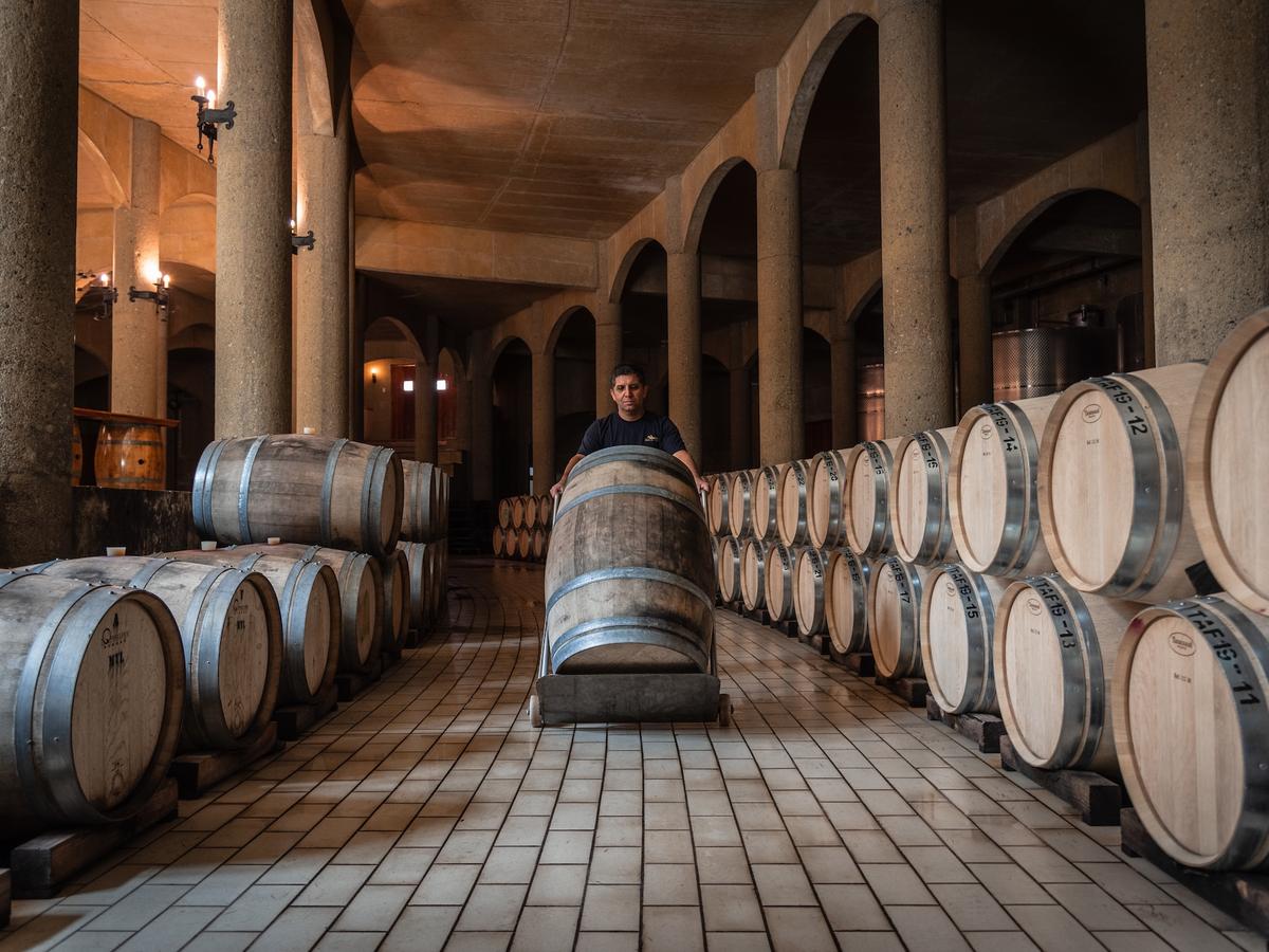 Adéntrate en la bodega en forma de herradura
