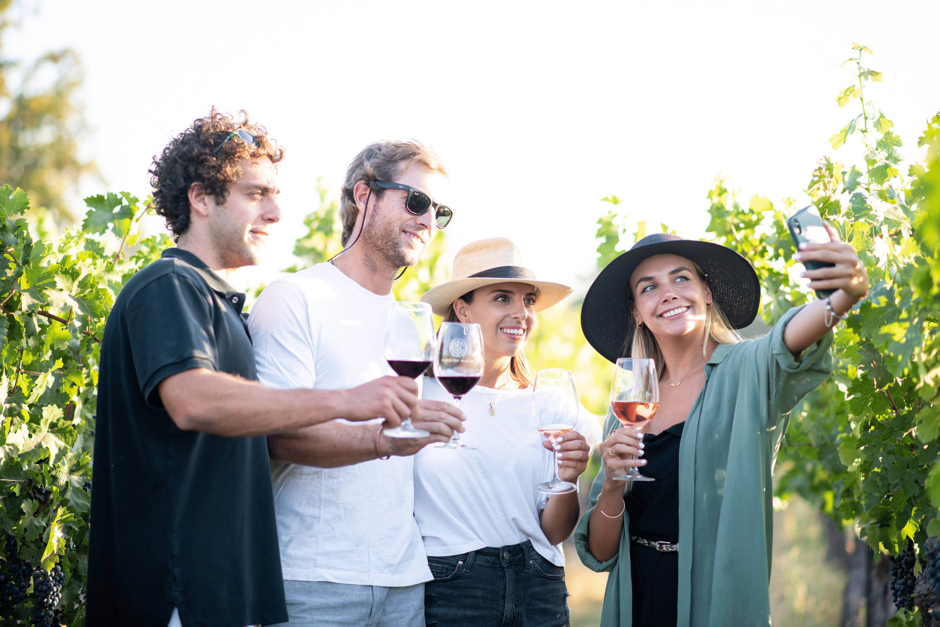 A small group toasting with wine glasses among the vines on a sunny day