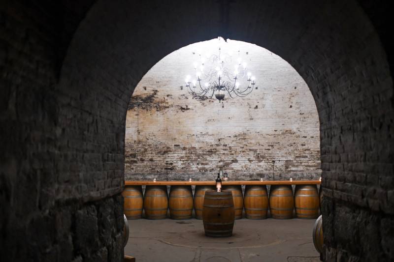 Cousiño Macul Premium Wine Tour with 7 Wine Tastings